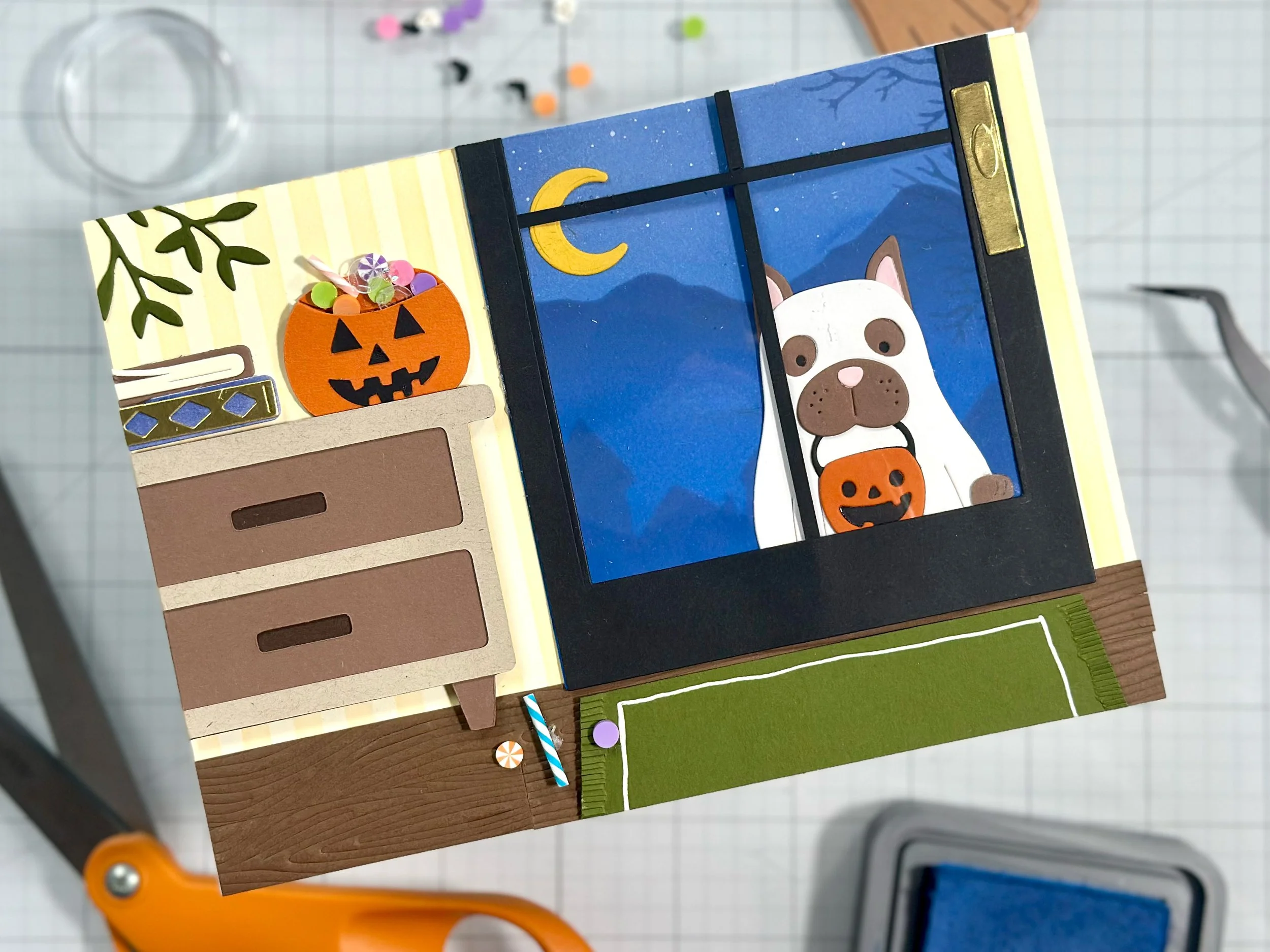 A Furry Trick or Treater