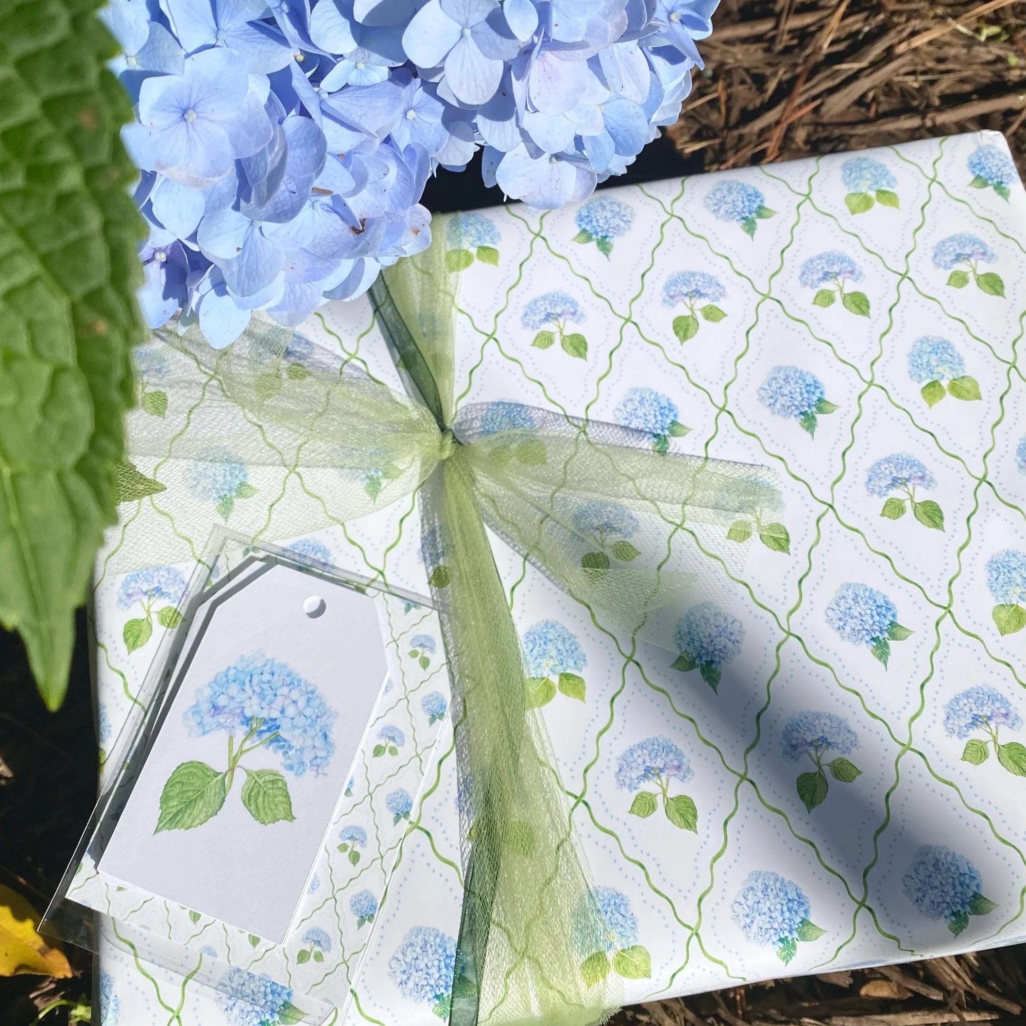 The Harwich Hydrangea Gift Wrap