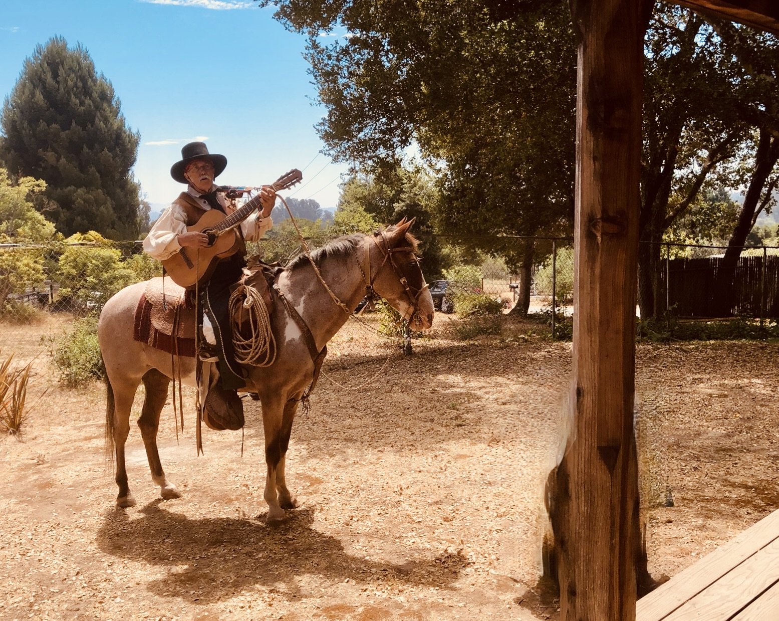 Vaquero Cantante