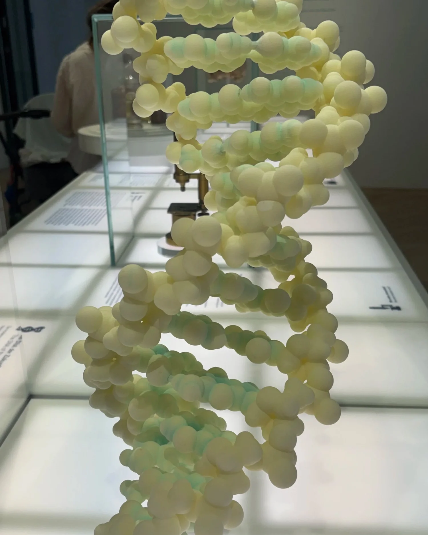 Uckelmann Lab