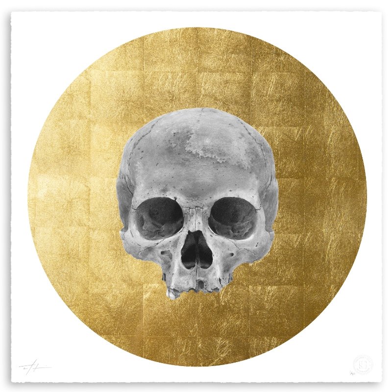 Skull 2.jpg