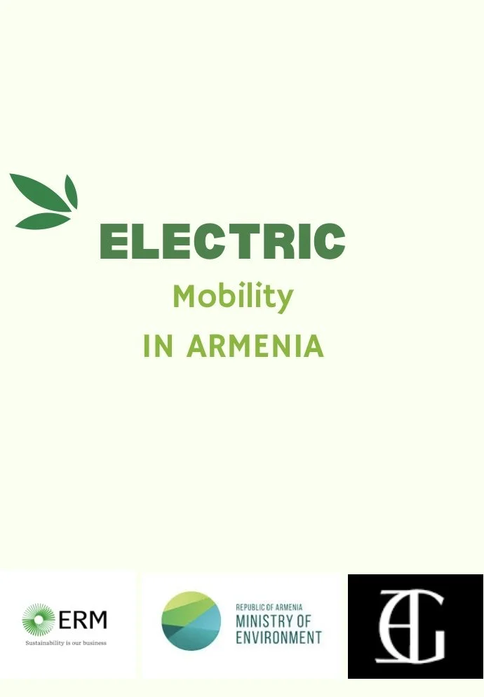 Supporting the implementation of electric mobility strategy