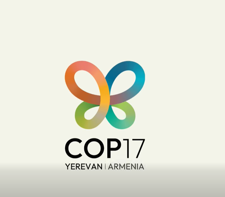 COP17 Advisory Support