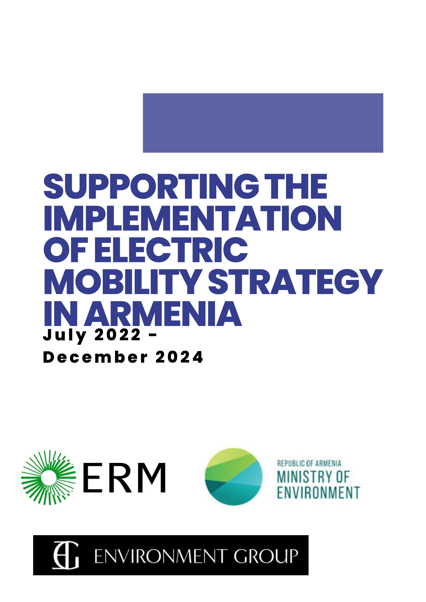 Supporting the implementation of electric mobility strategy
