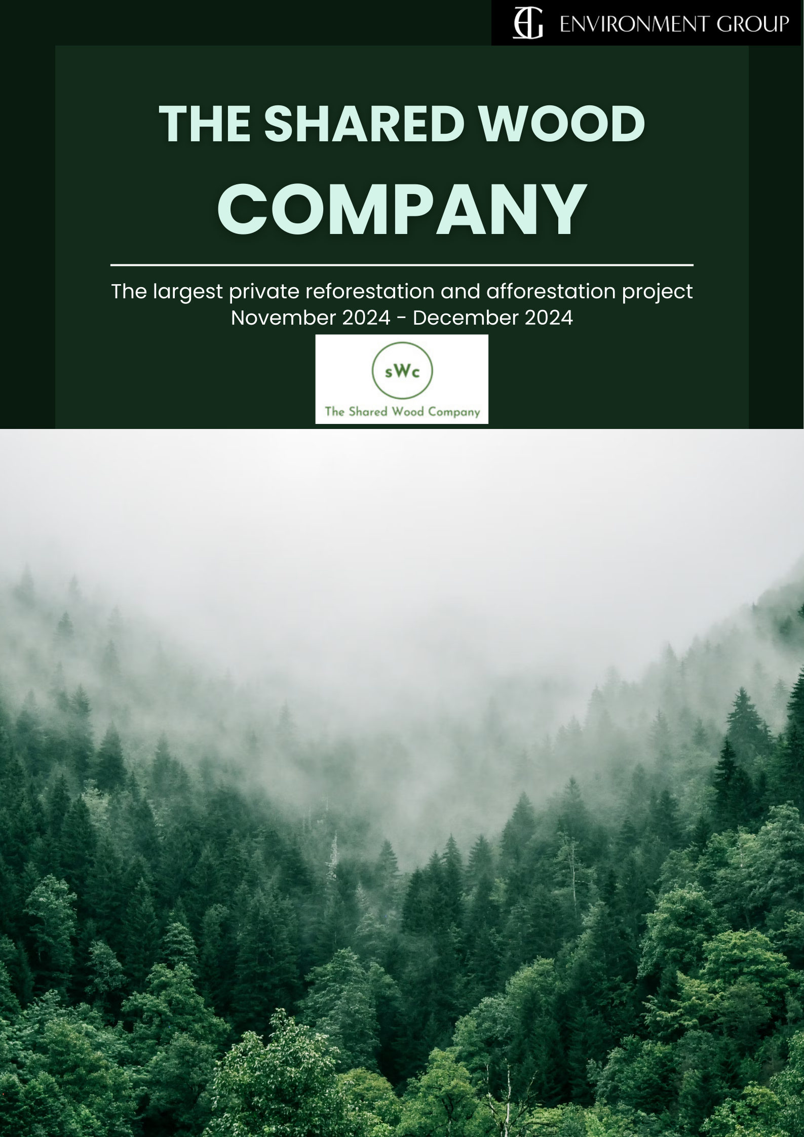 Facilitation and support of the largest private reforestation and afforestation project