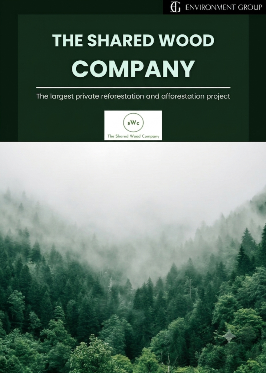 Afforestation and Reforestation Project Structuring