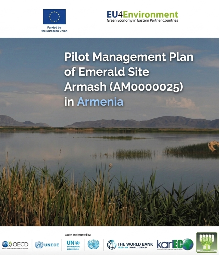 Strategic Financing and Ecosystem Services Framework