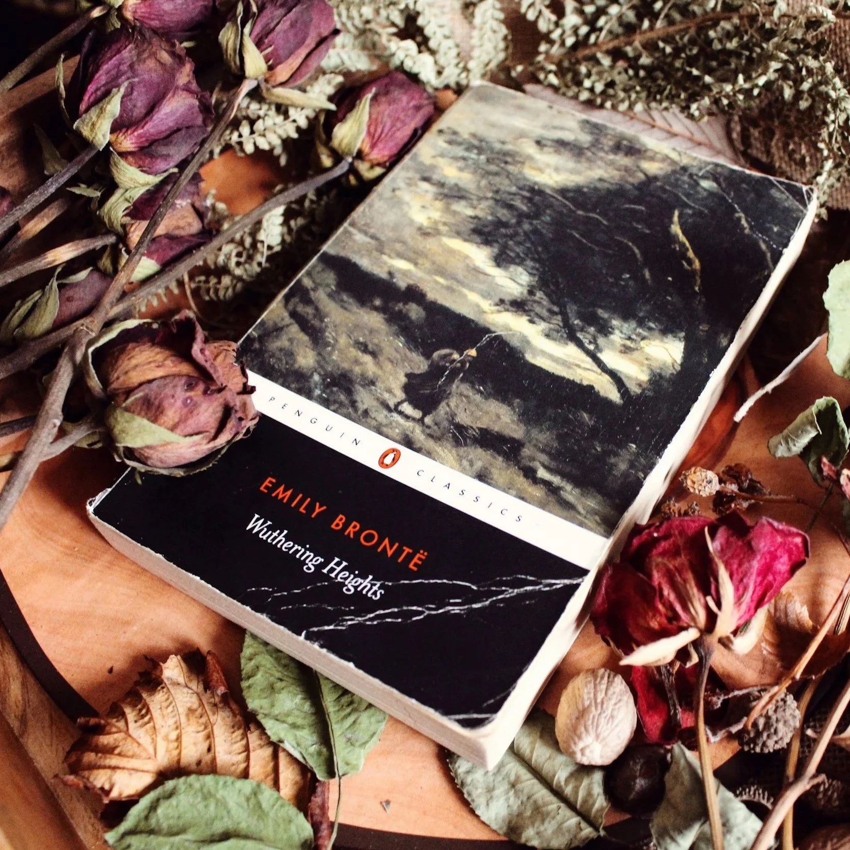 Within the pages of diaries “half savage and hardy and free…”