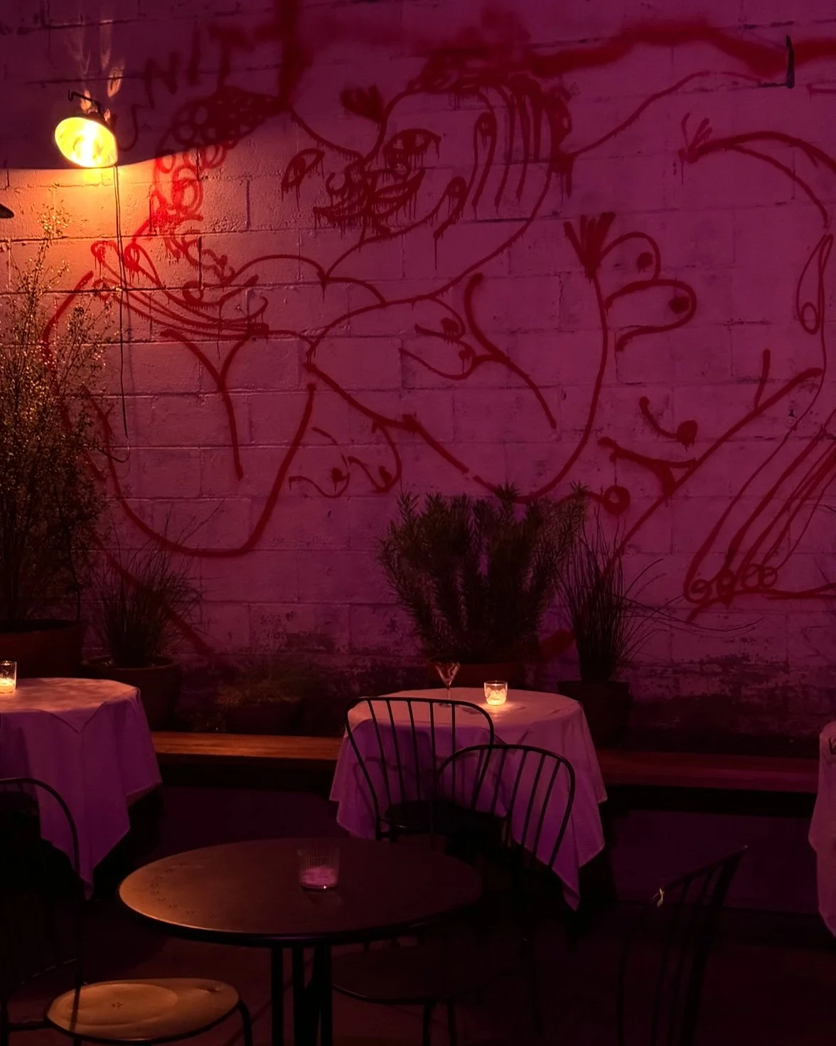 Friends and Family Bar.jpg