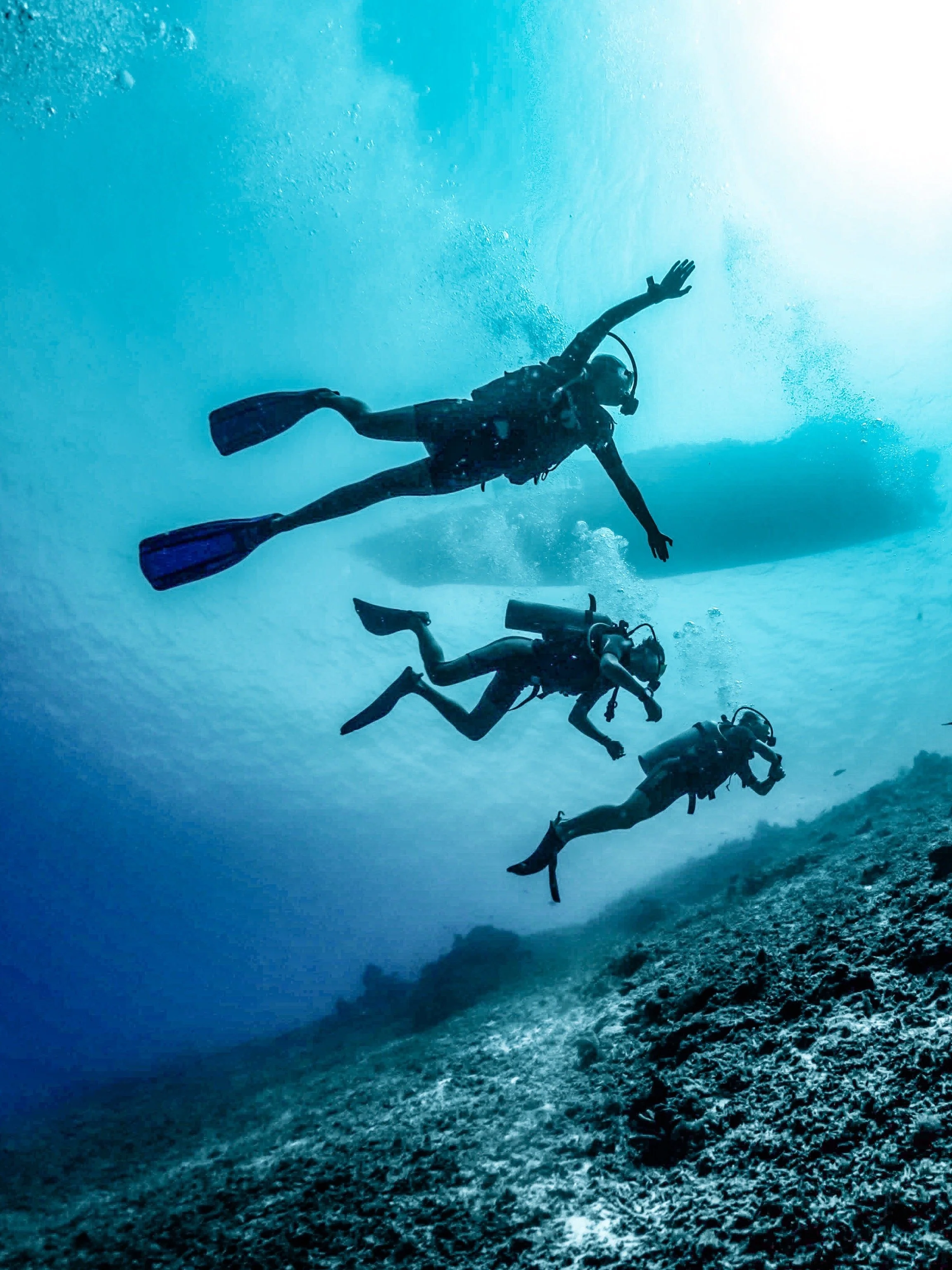 Gili Divers x Realm Creative.JPG