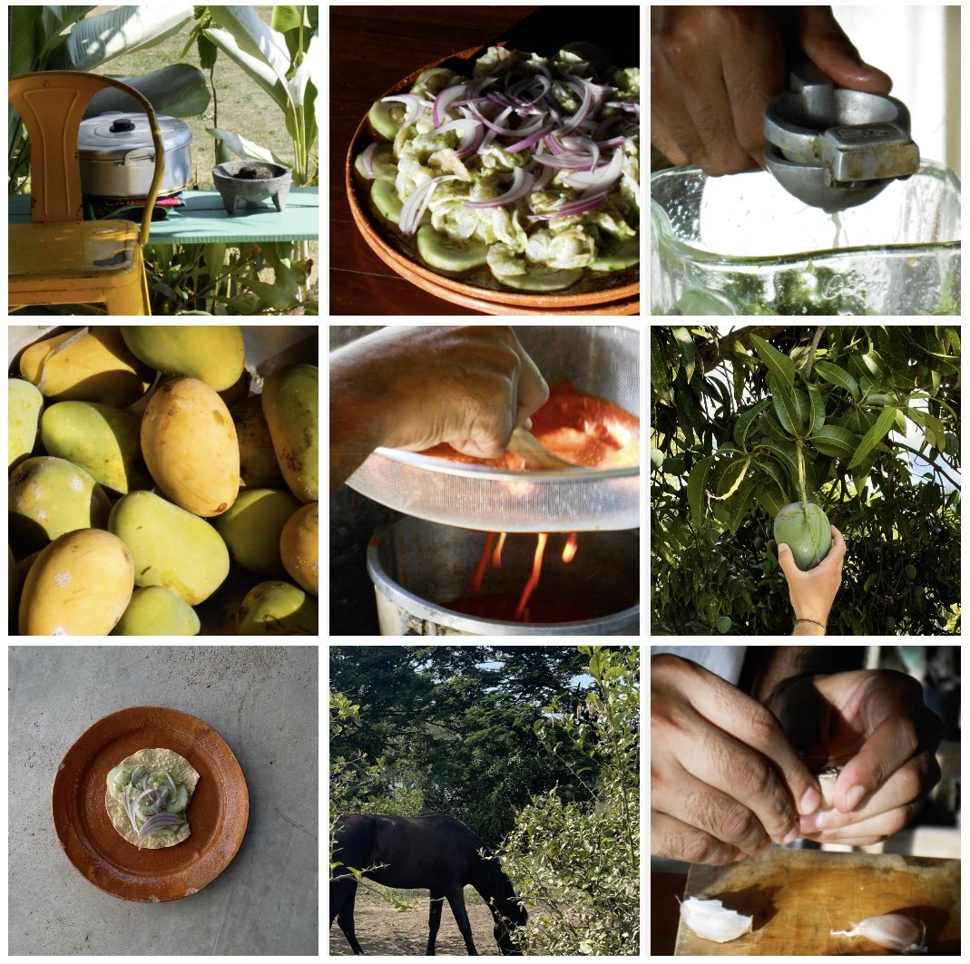 Raíz Cocina x Realm Creative.jpg