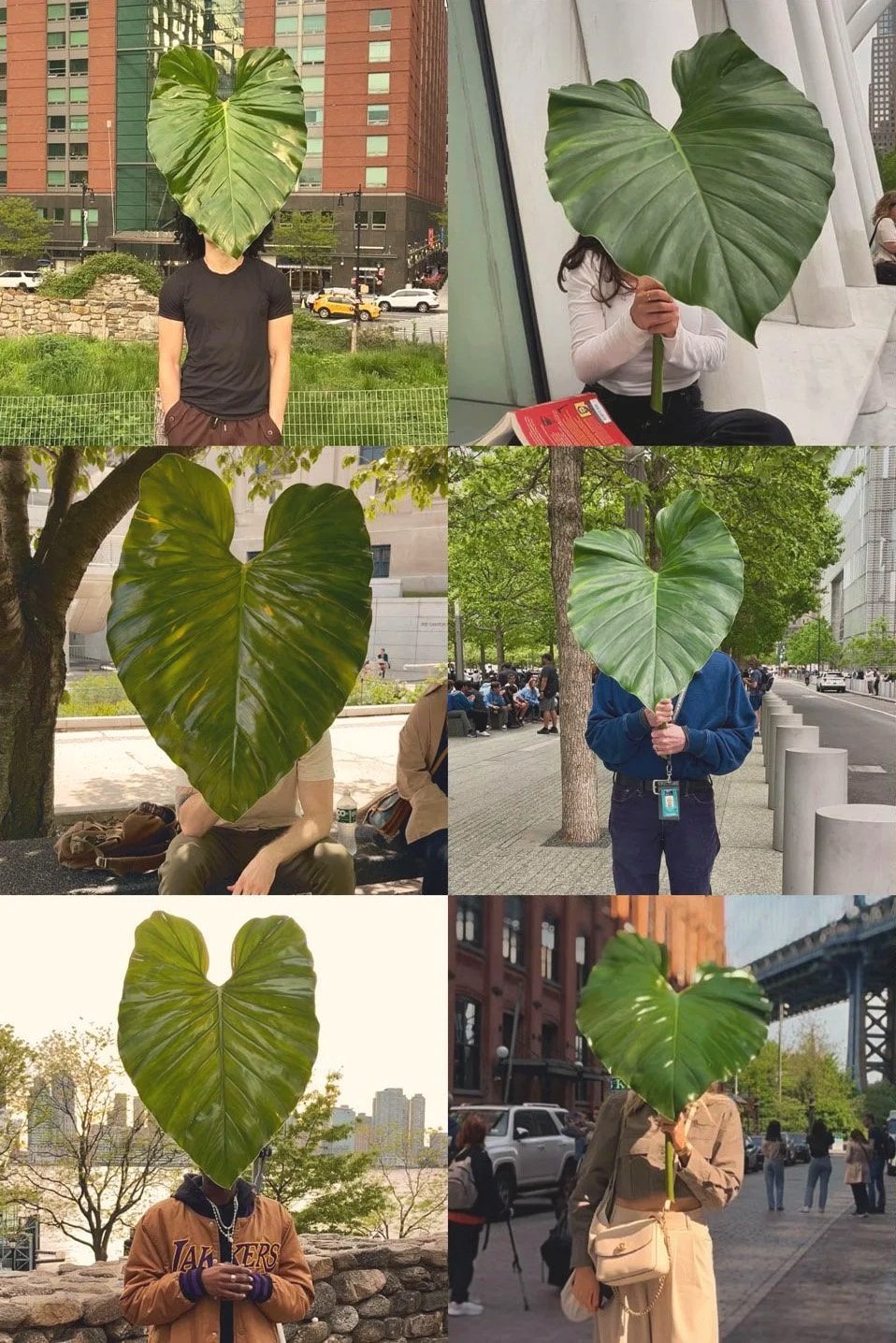 SHARED MASK, SHARED MIND — 2024–PRESENT. The LeafHead project invited people to wear a leaf mask during interviews, using shared concealment as a condition for disclosing their deepest wishes and regrets about the world. Perception here was shaped by
