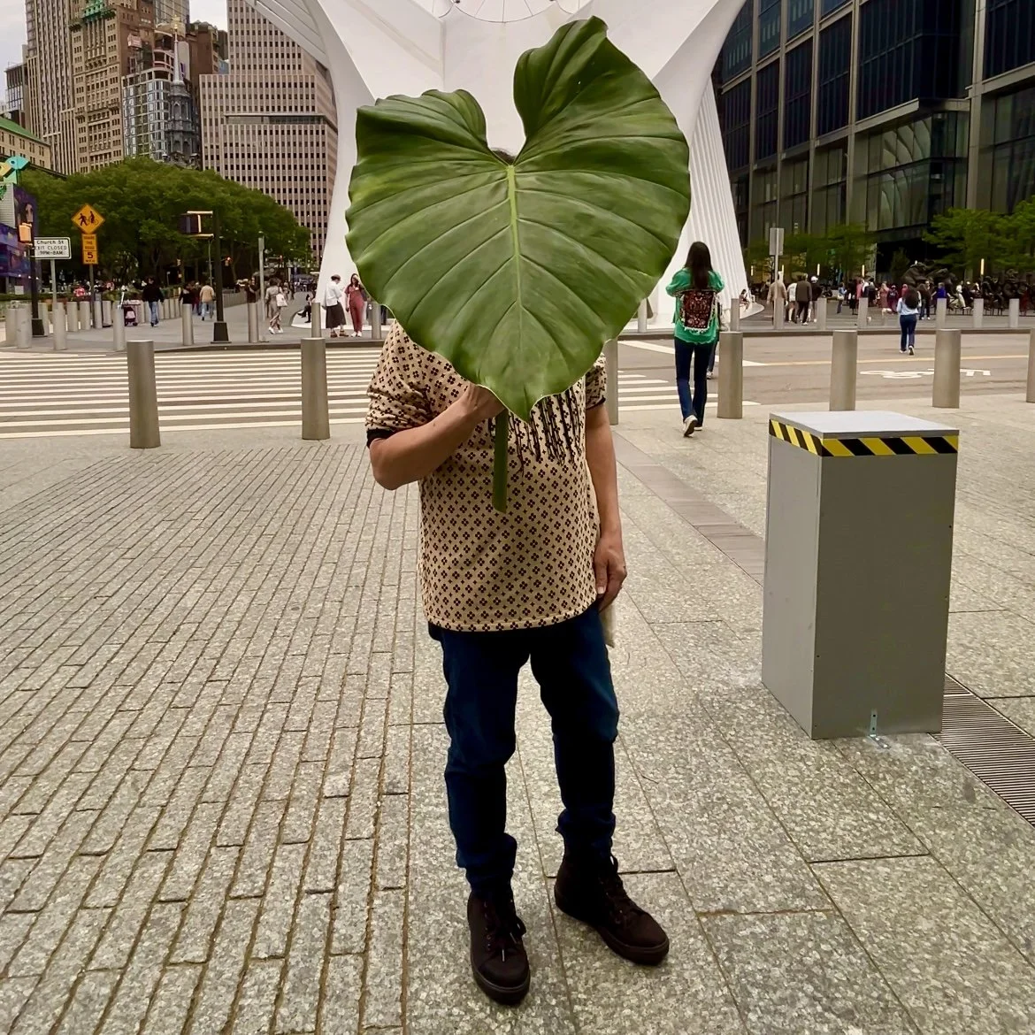 Man standing with a leaf in his hands covering her face. Photo taken in New York City as part of the video series LeafHead Field Project.