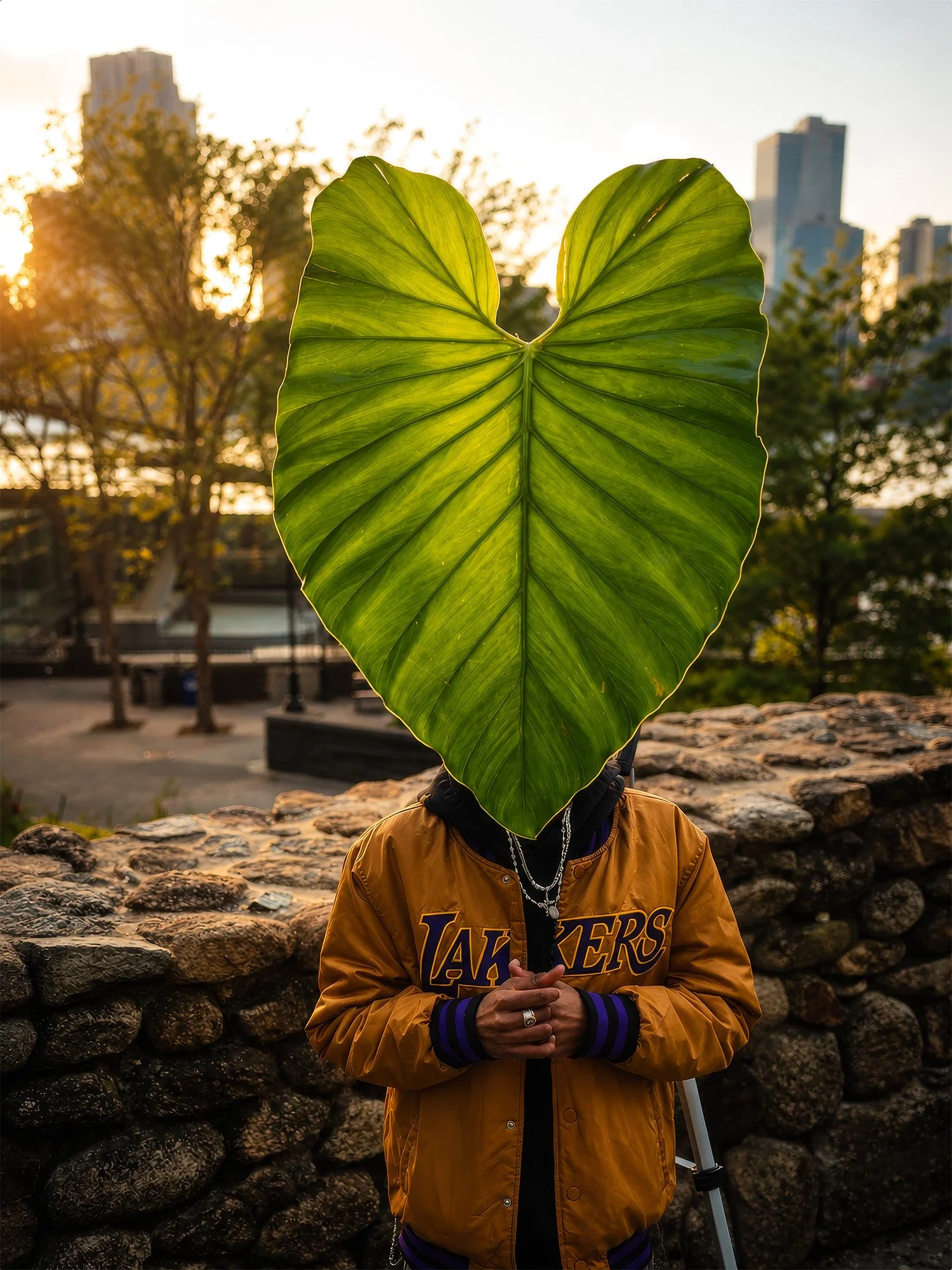 Man standing with a big leaf in front of his face. Photo taken in New York City as part of the video series LeafHead Field Project.