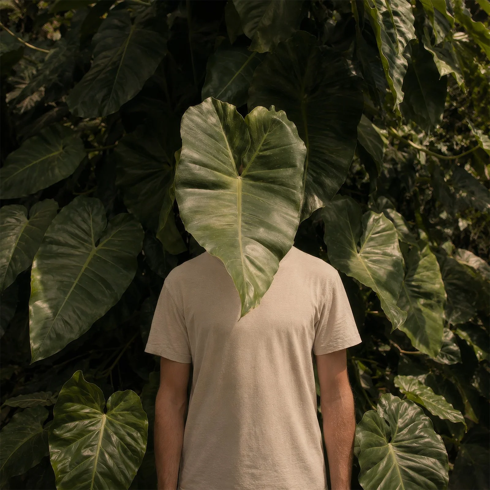 Photo by Martin Lenclos of Martin Lenclos with head hiding behind a huge leaf at the Botanic Garden in New York City.