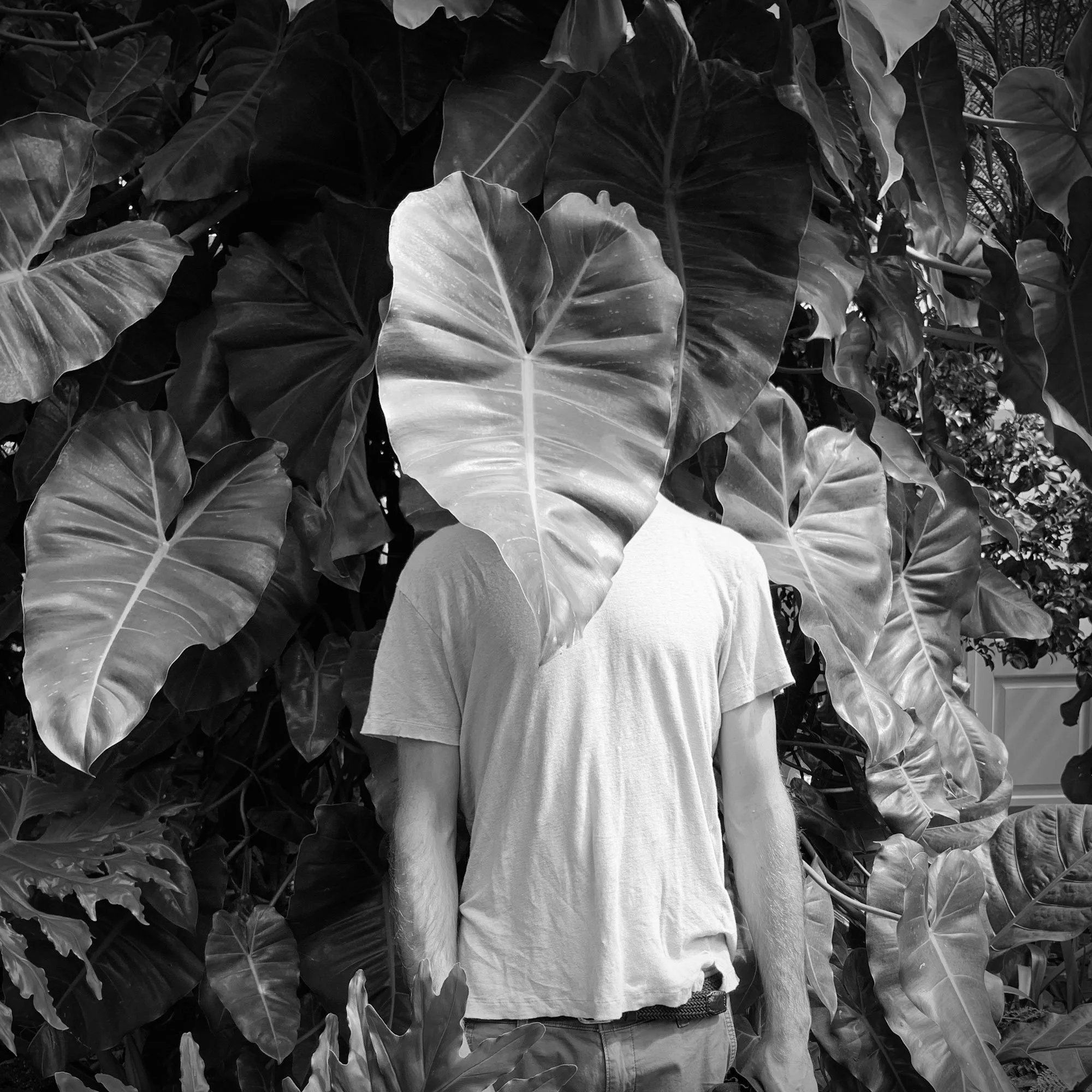 This photograph by Martin Lenclos represent the idea: What others appear to be may already be a reading.