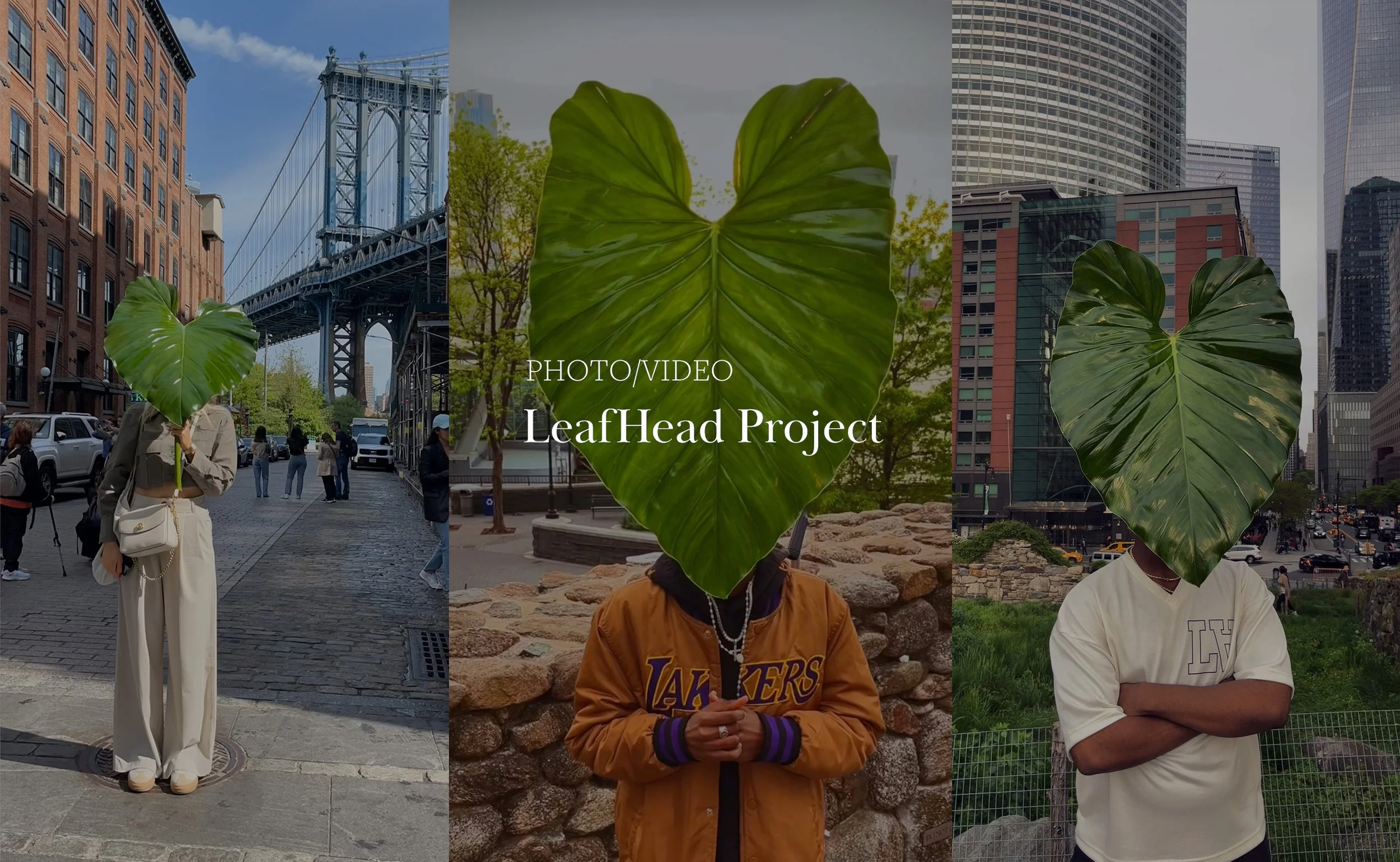 Project exploring identity beyond the self and inviting collective experiences of unity and shared awareness.
