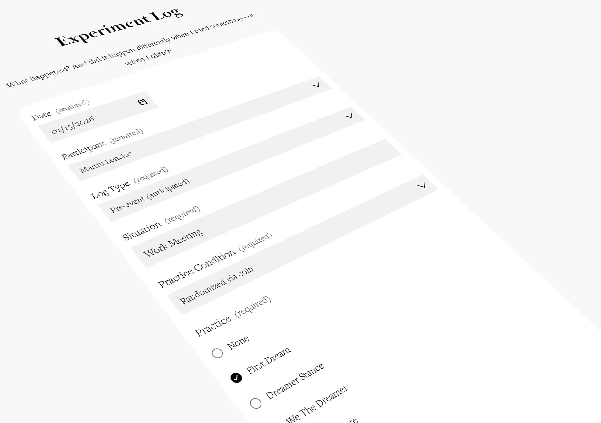 Visual of a form used by participants in the dreamer project to record the situations, event-types, mind-first practices and outcomes.