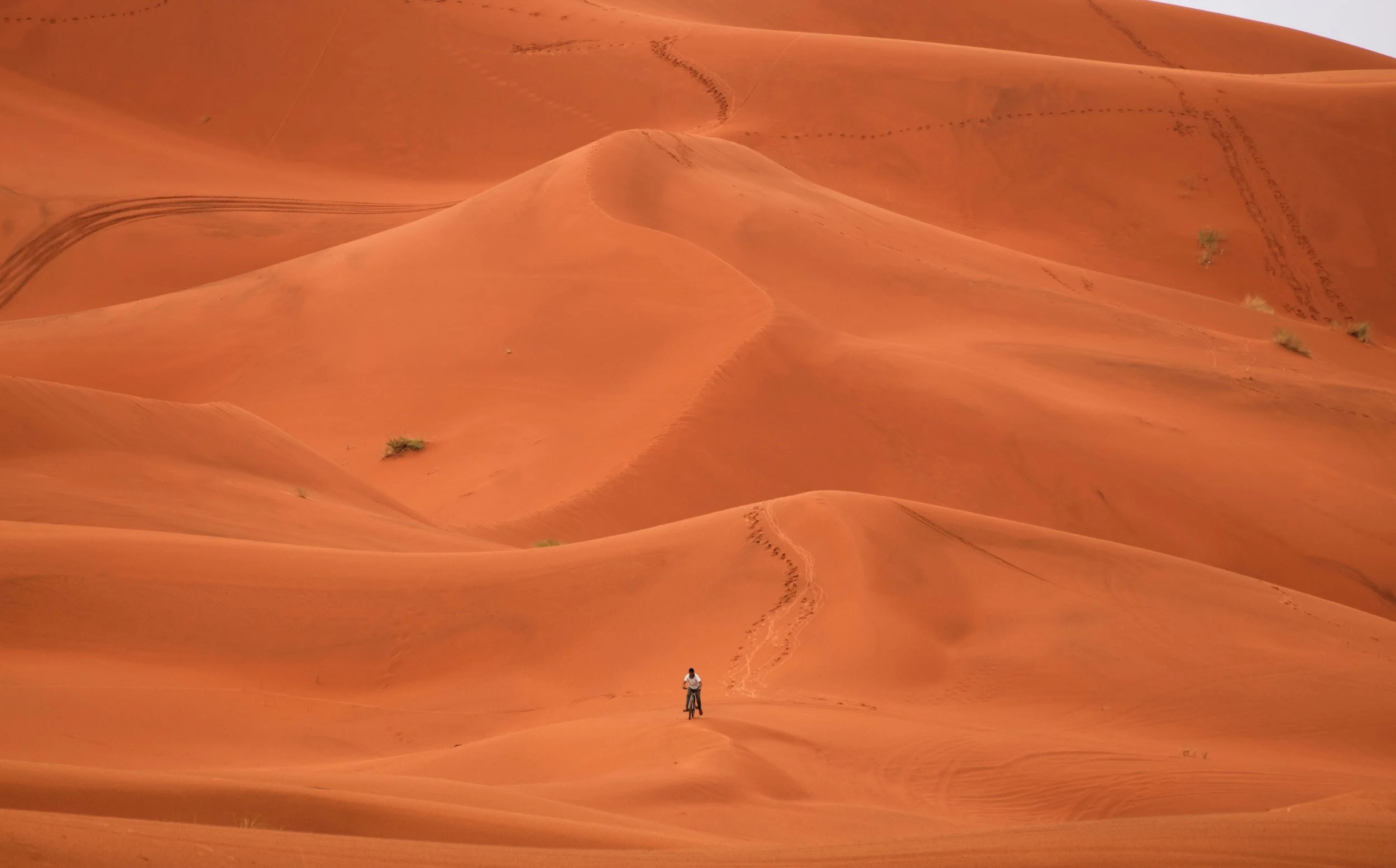 DSC_2792 - Copy - Copy.JPG