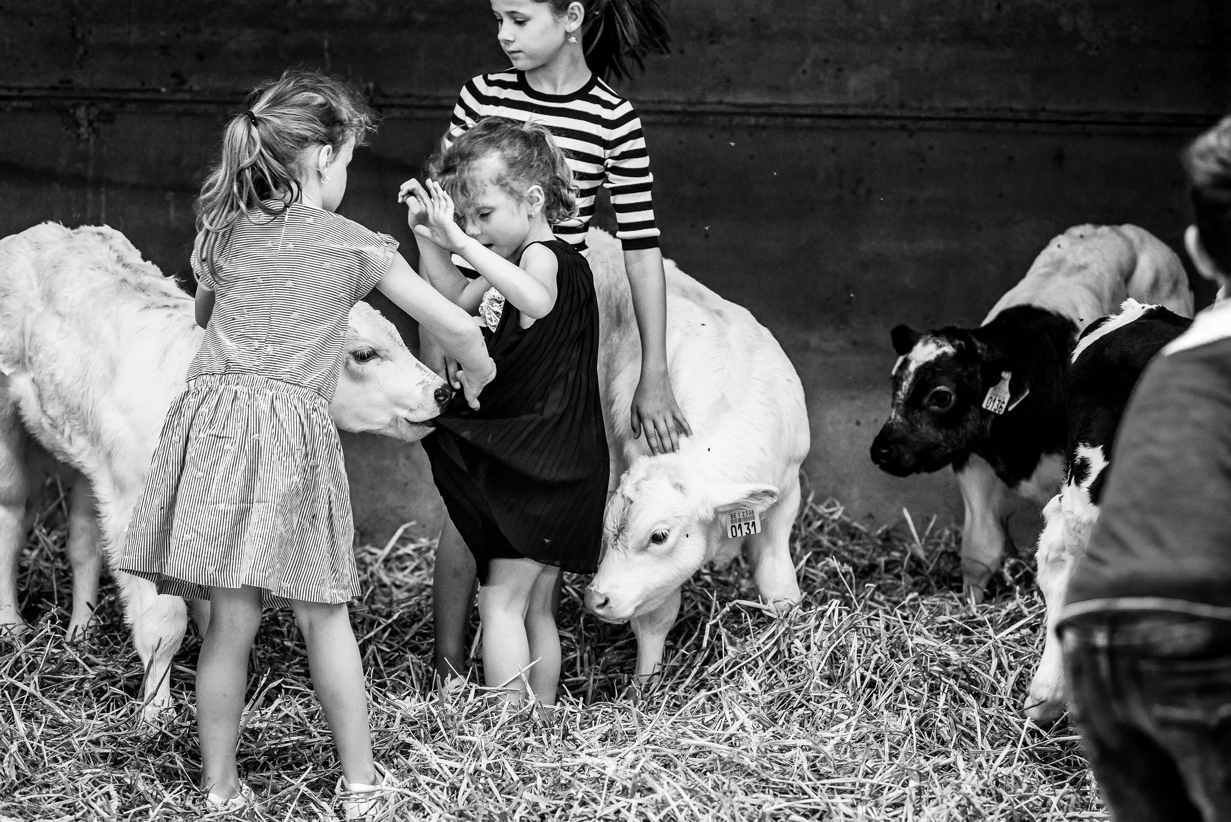 Een day in the life gezinsshoot in een boerderij omgeving.