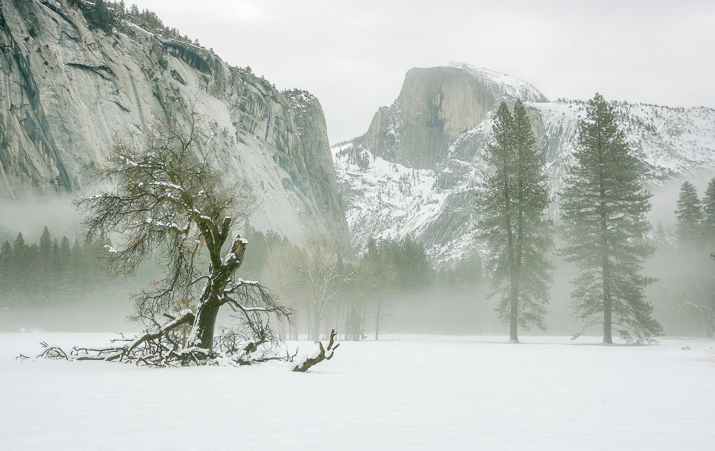 MTD CEK YOSEMITE SNOW1.JPG