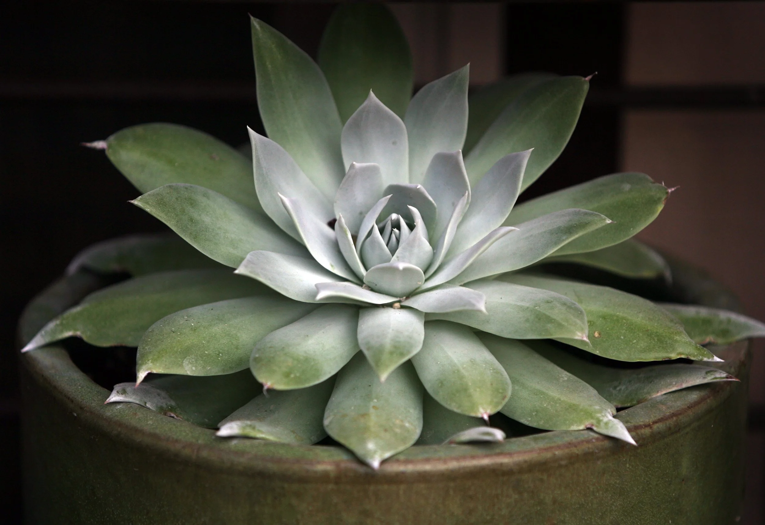 CEK-GARDENTOUR-02.JPG