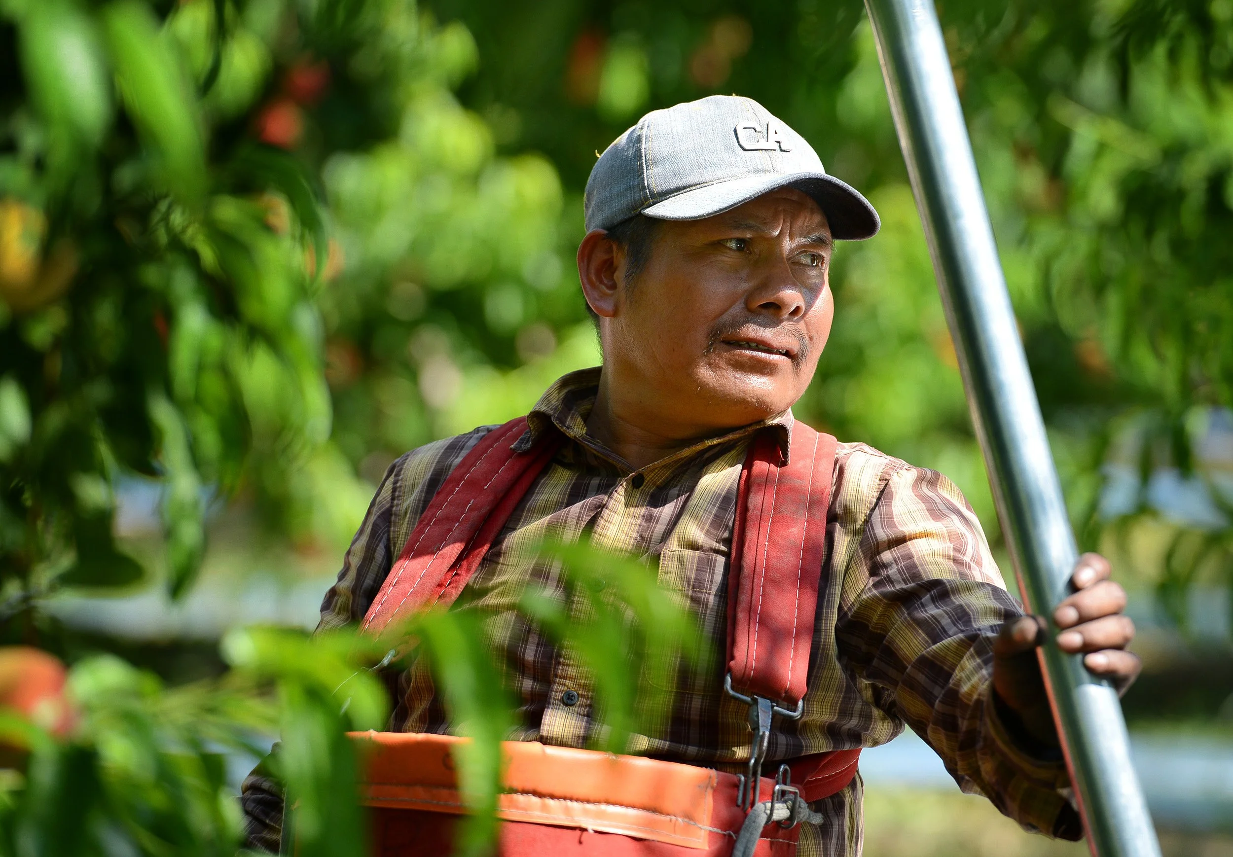 CEK LABOR 04.JPG