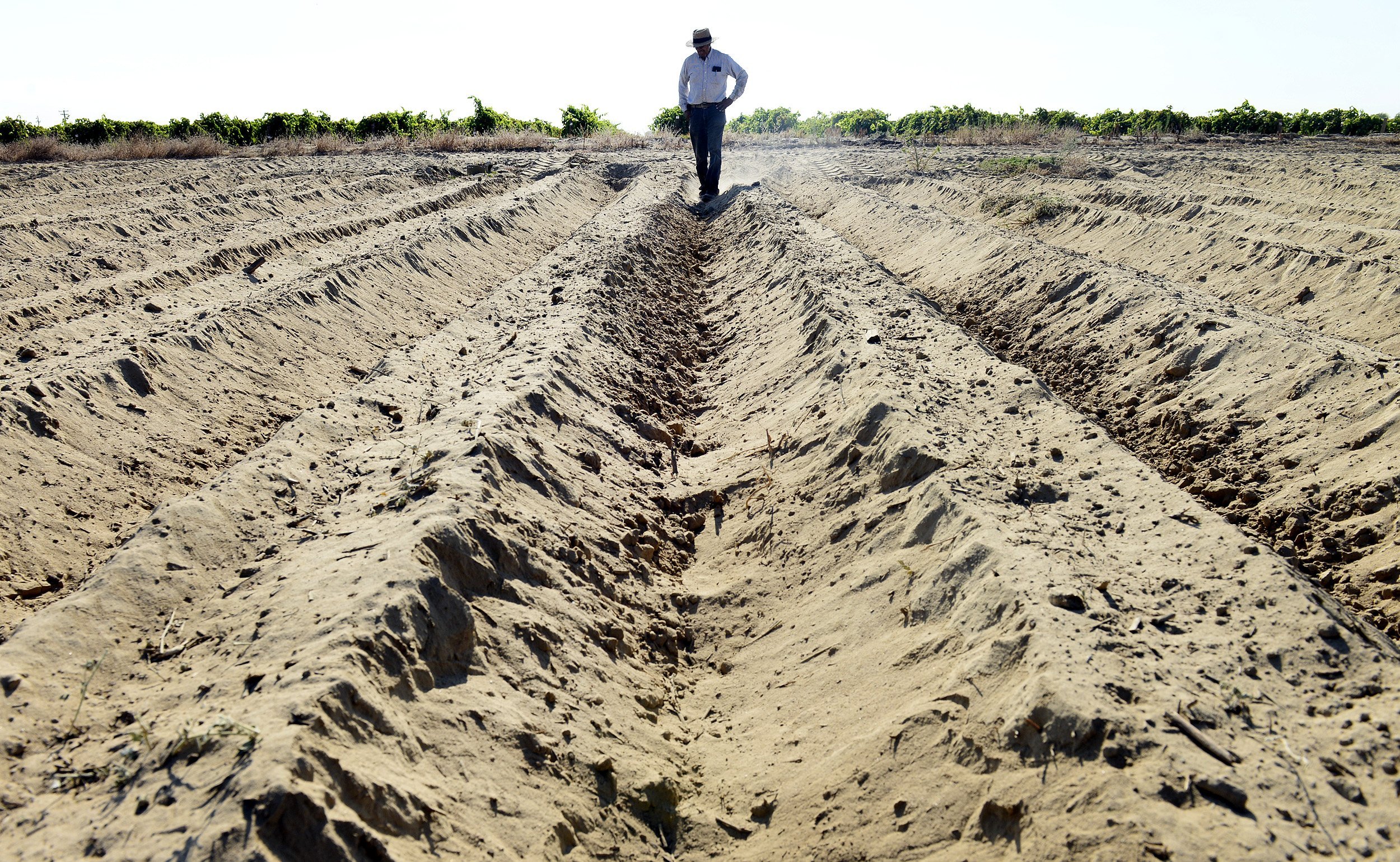 faces_of_drought_04.JPG