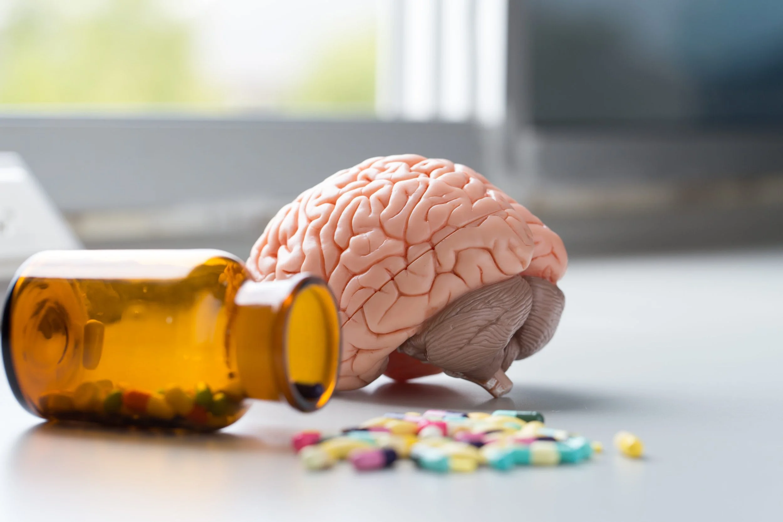 How Do Drugs Affect Our Brains?