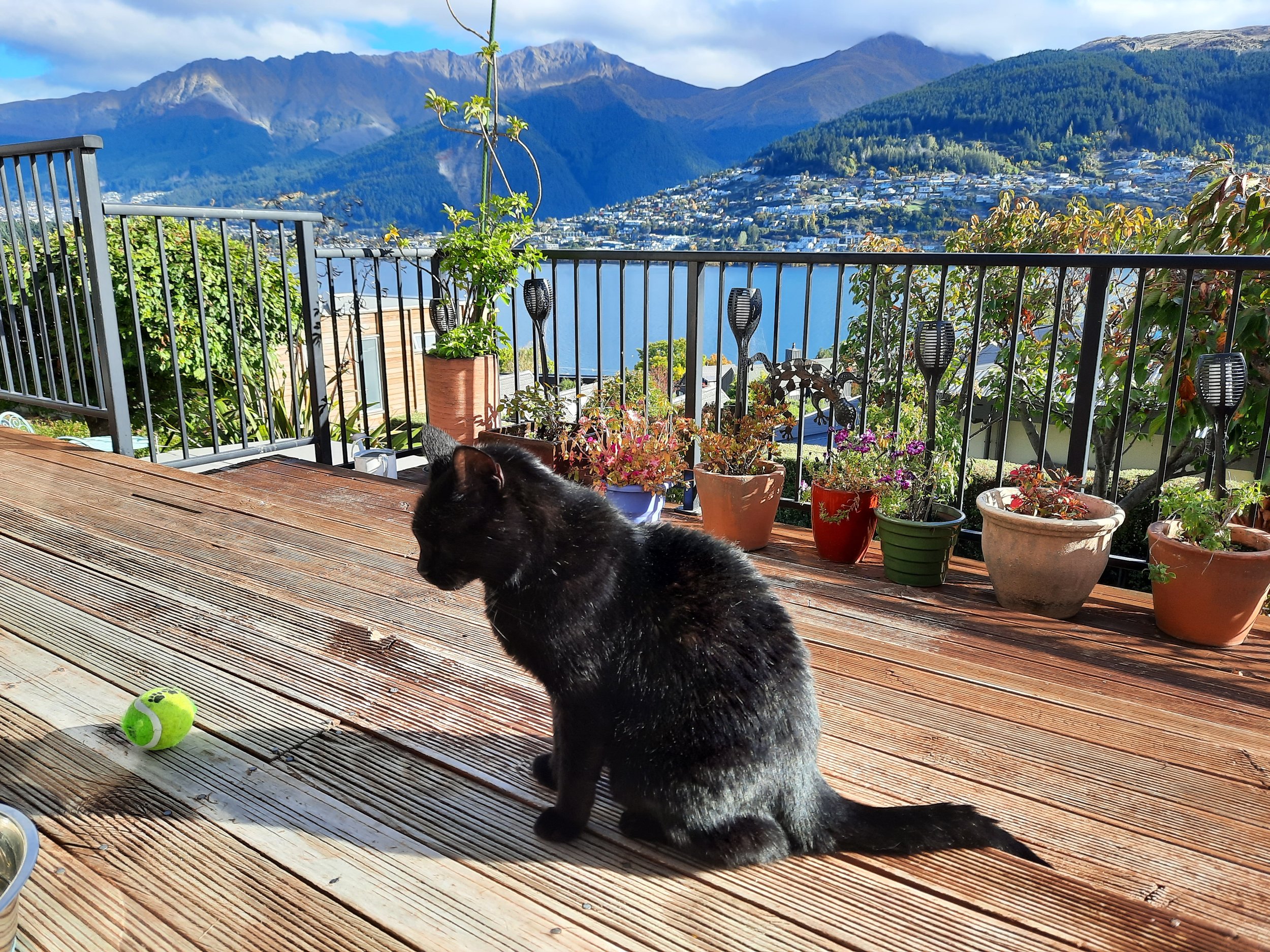 Queenstown, Otago, South Island. View of Ben Lomond.