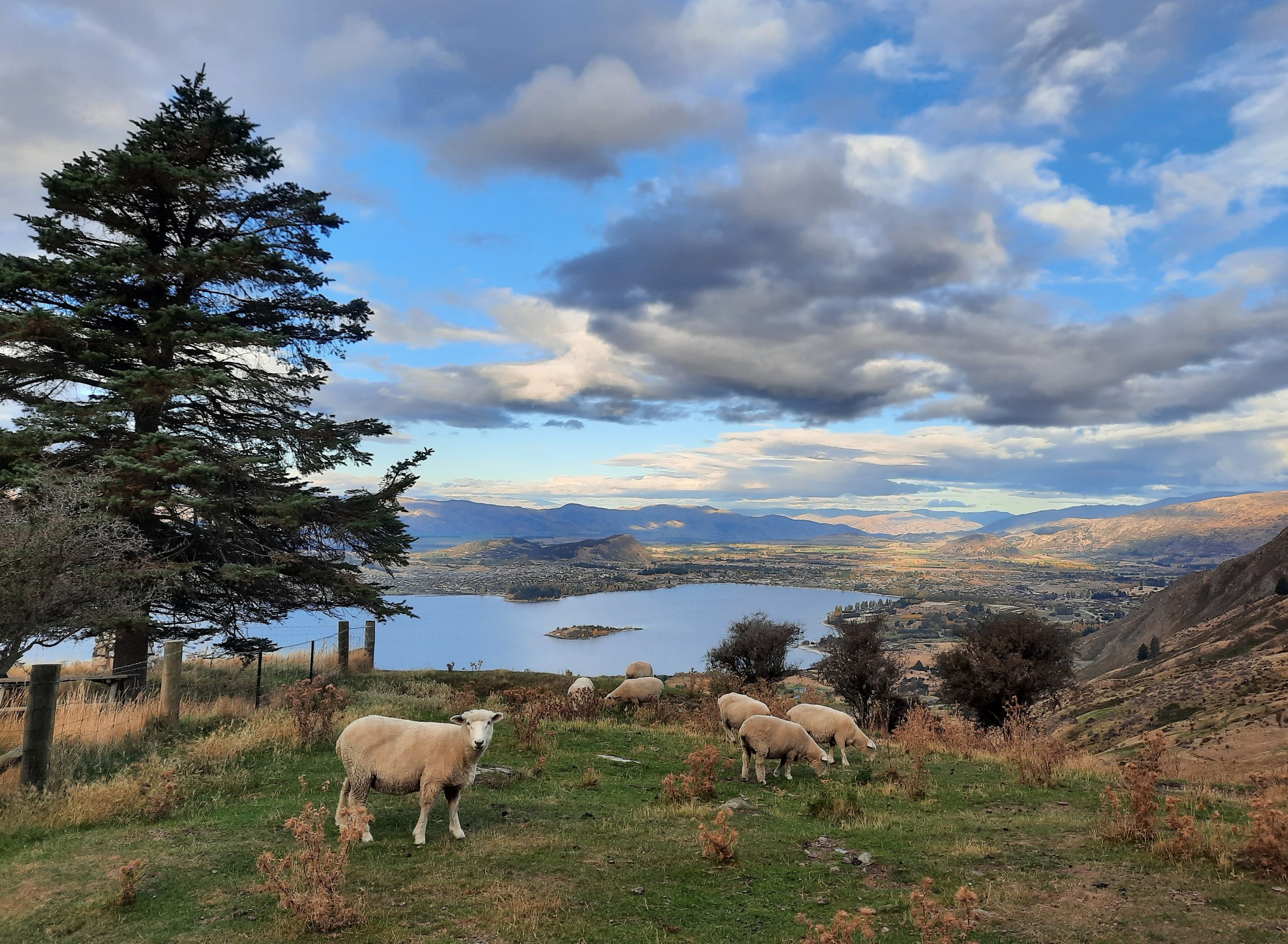 Lake Wānaka seen from Roy's Peak, Otago