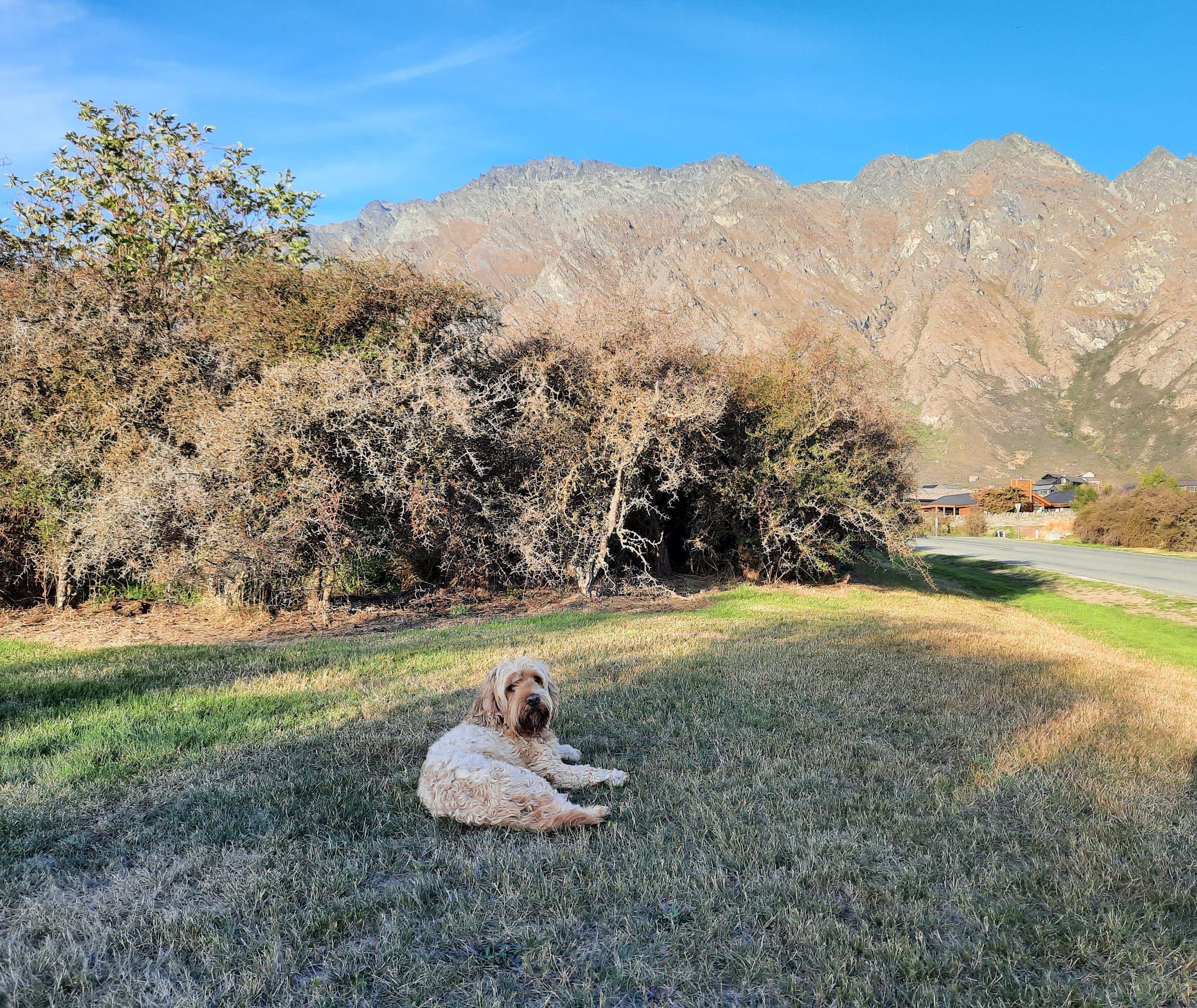 The Remarkables, near Queenstown