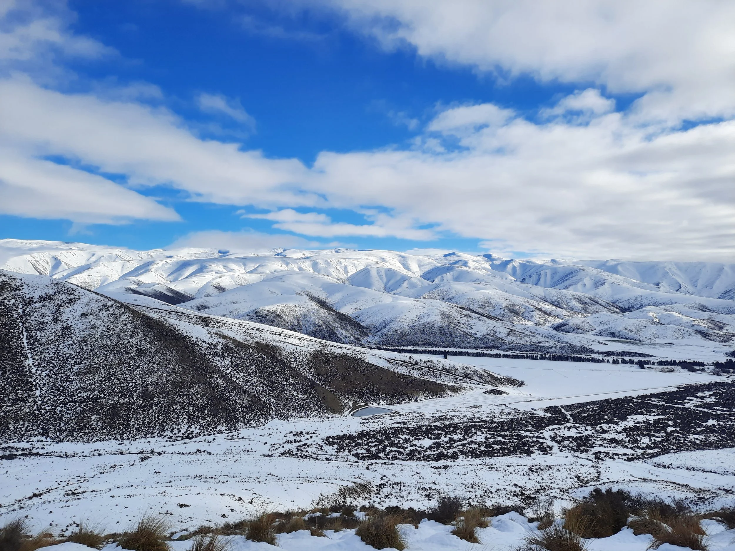 Ewe Range Track, Ōmarama