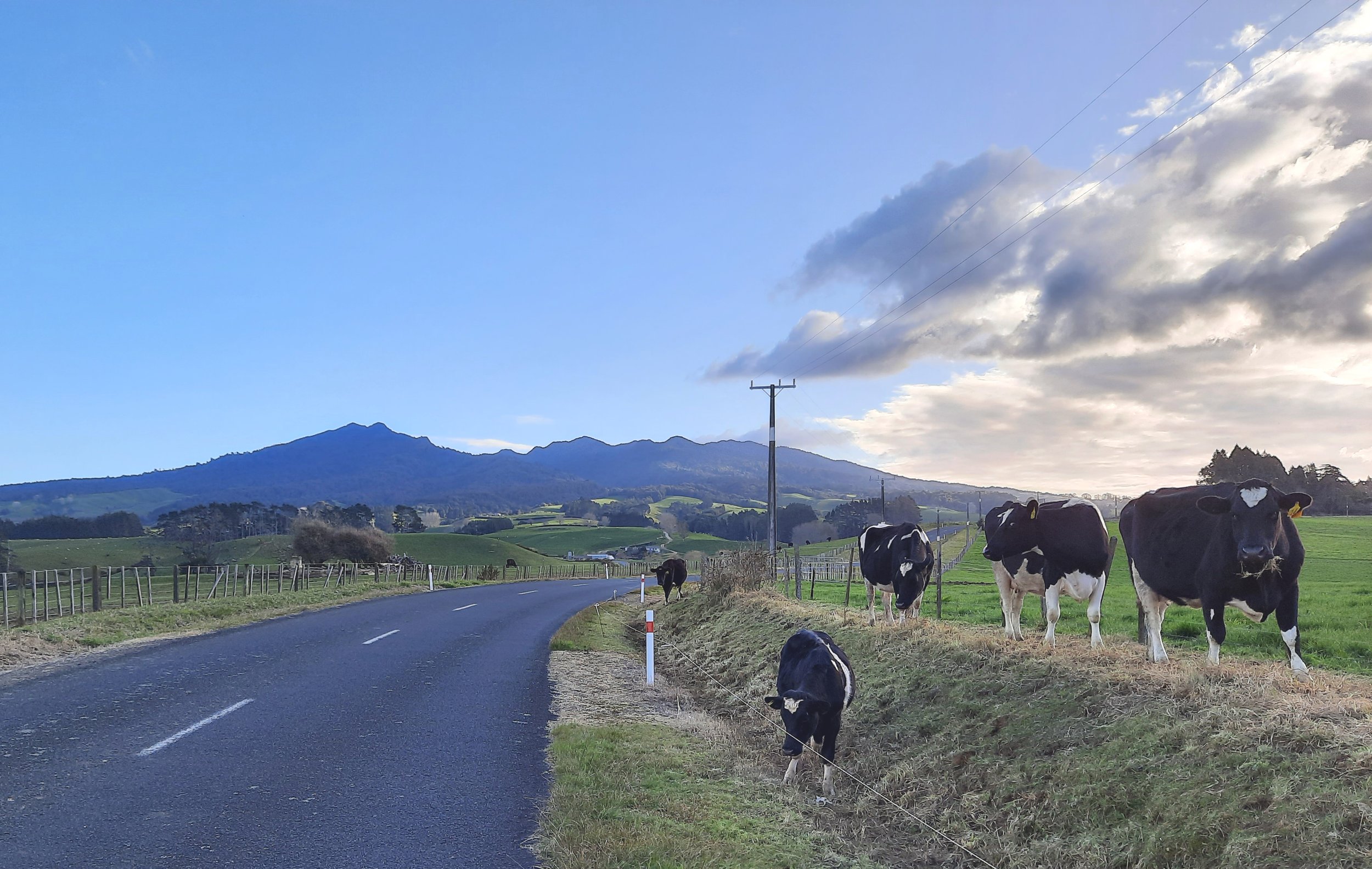 Mt Pirongia, Waikato