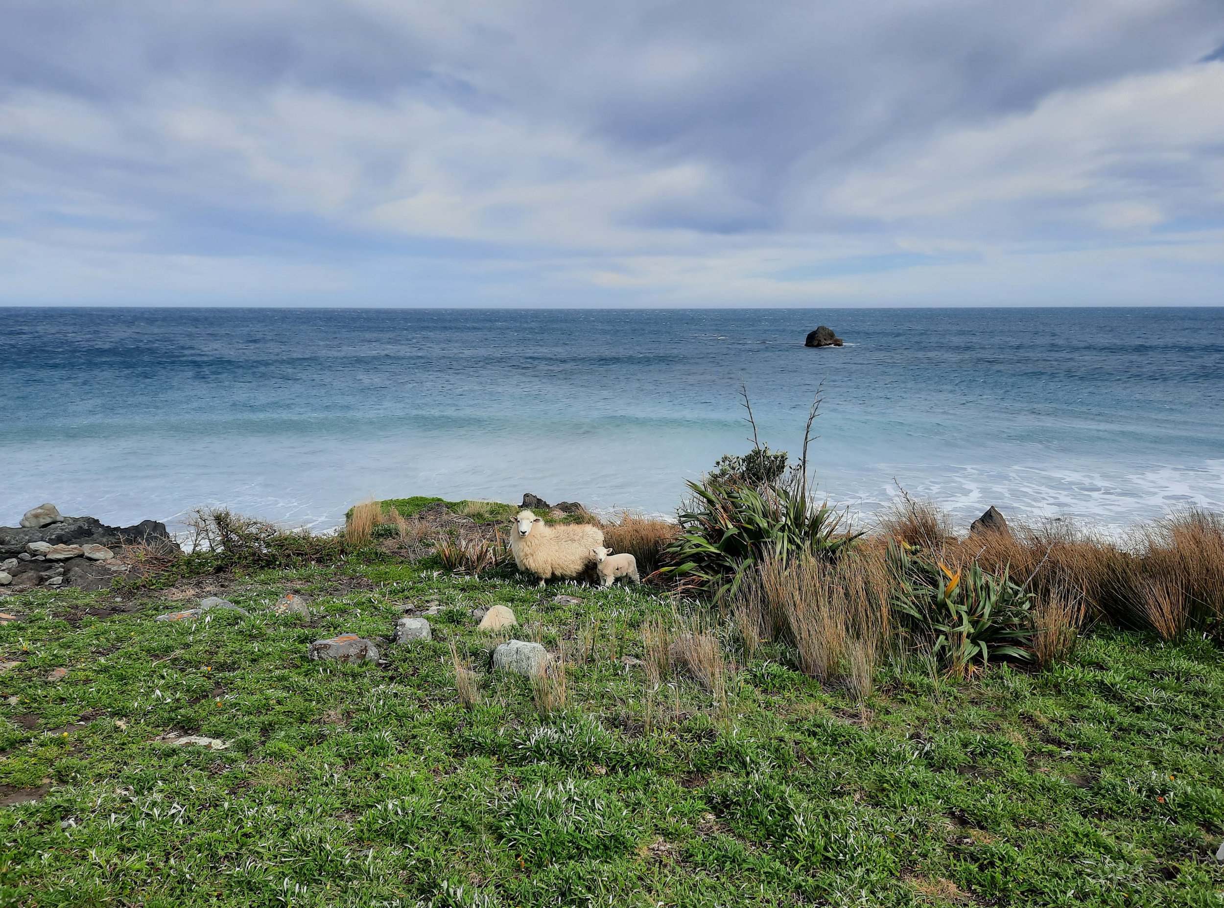 Palliser Bay, Wairarapa