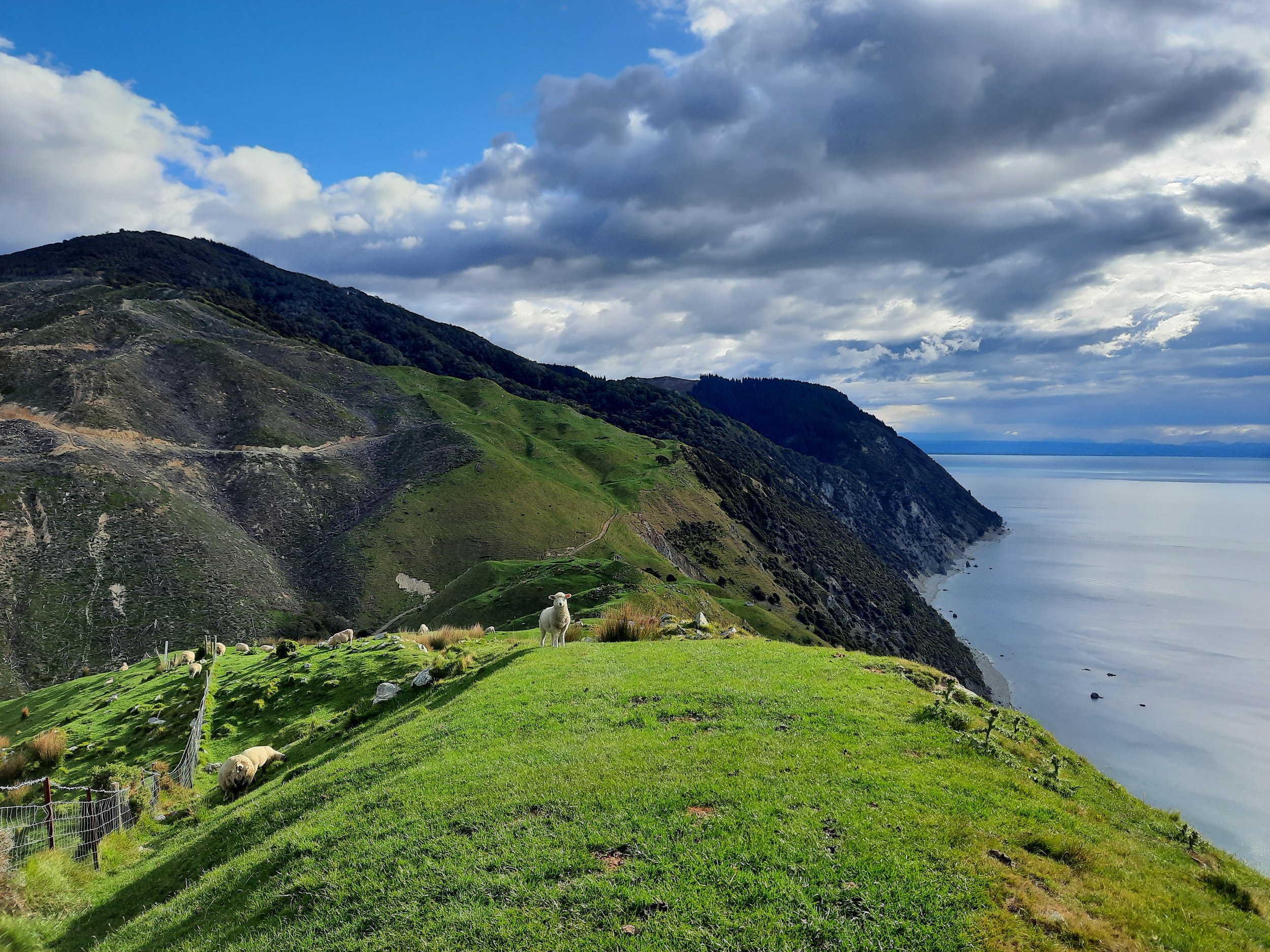 Cable Bay Walkway, Nelson, South Island.