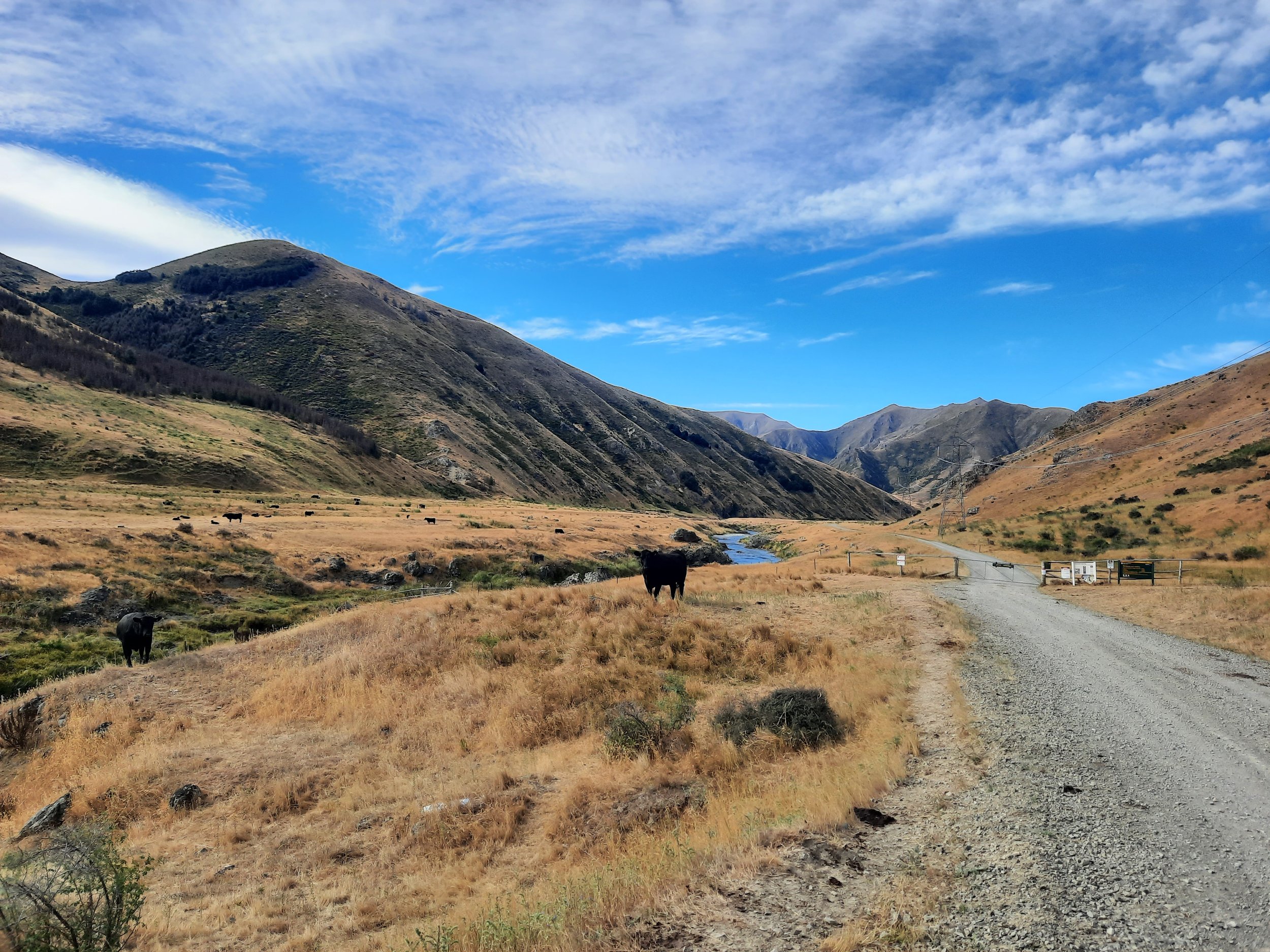 Acheron Rd, Molesworth, Hurunui.