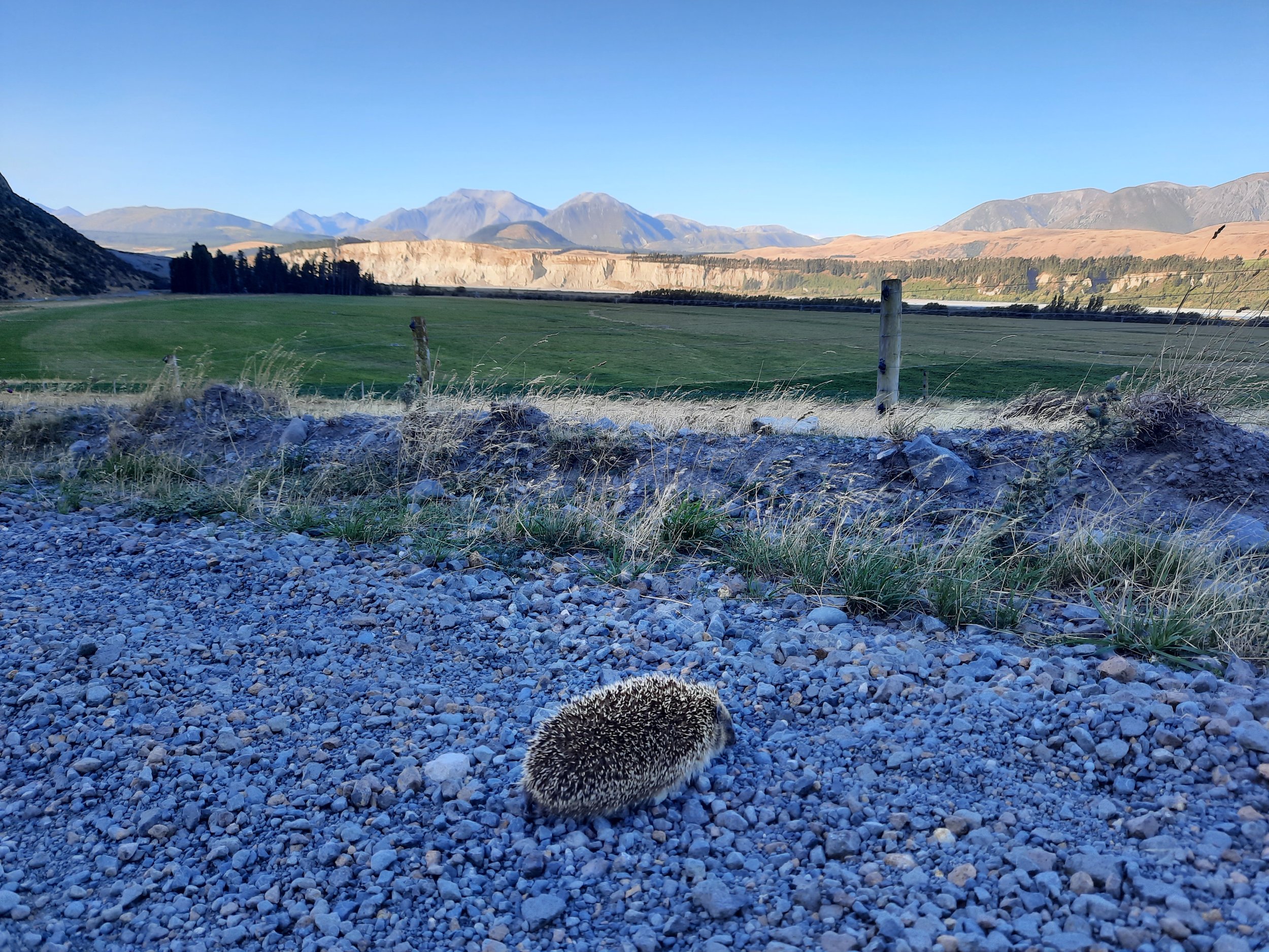 Rakaia Valley. Big Ben Range at right.