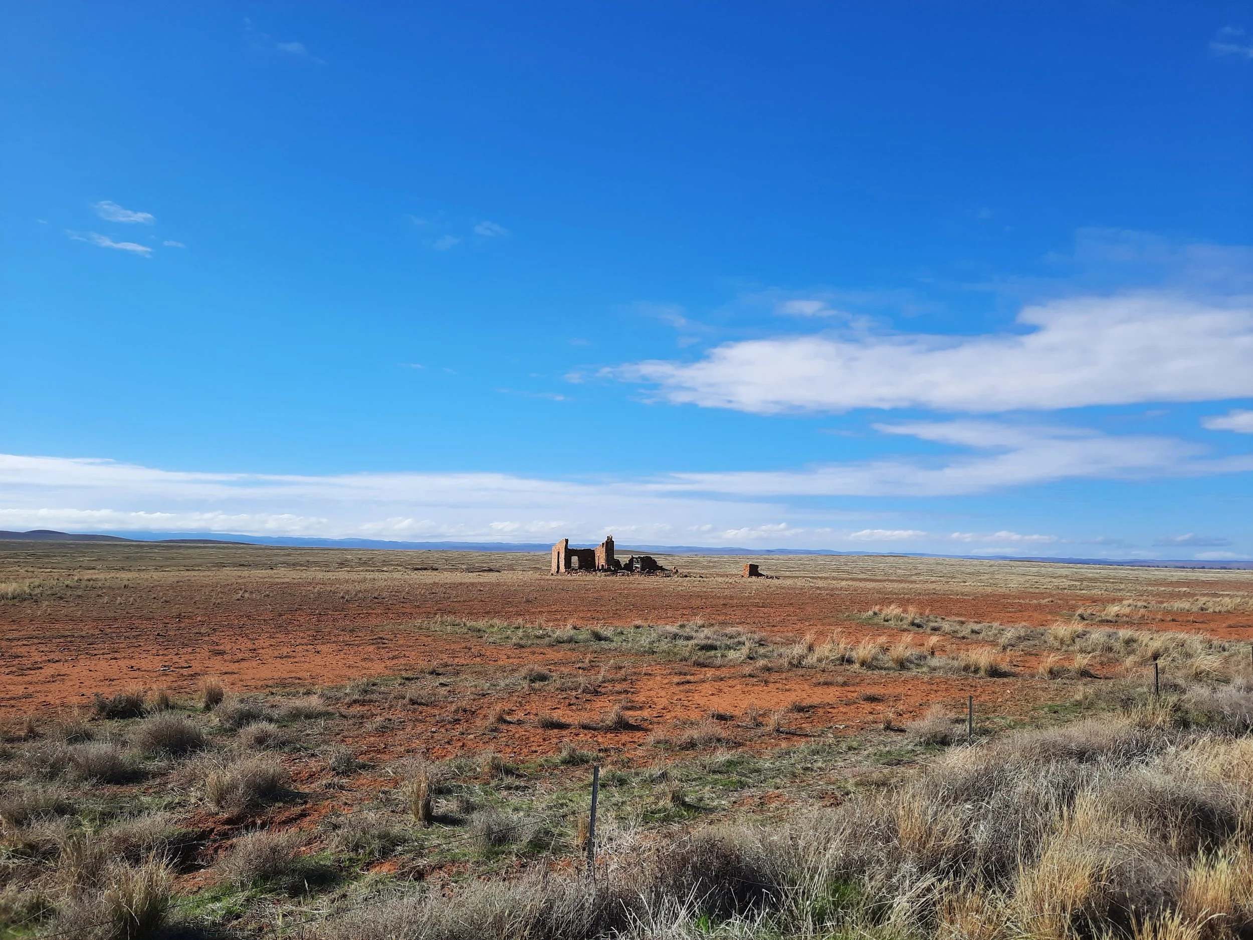 Near Cradock.