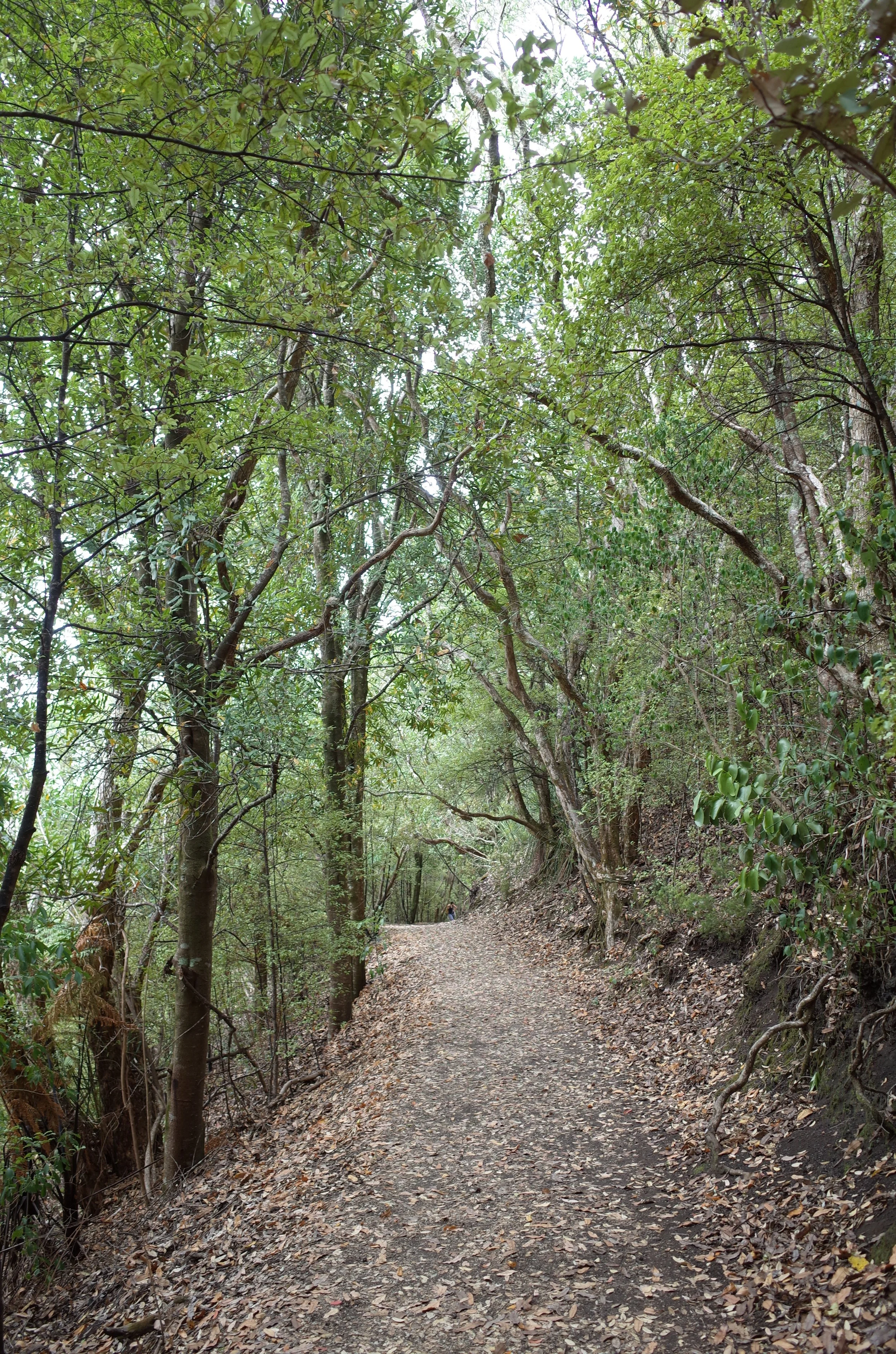 R0001179.JPG