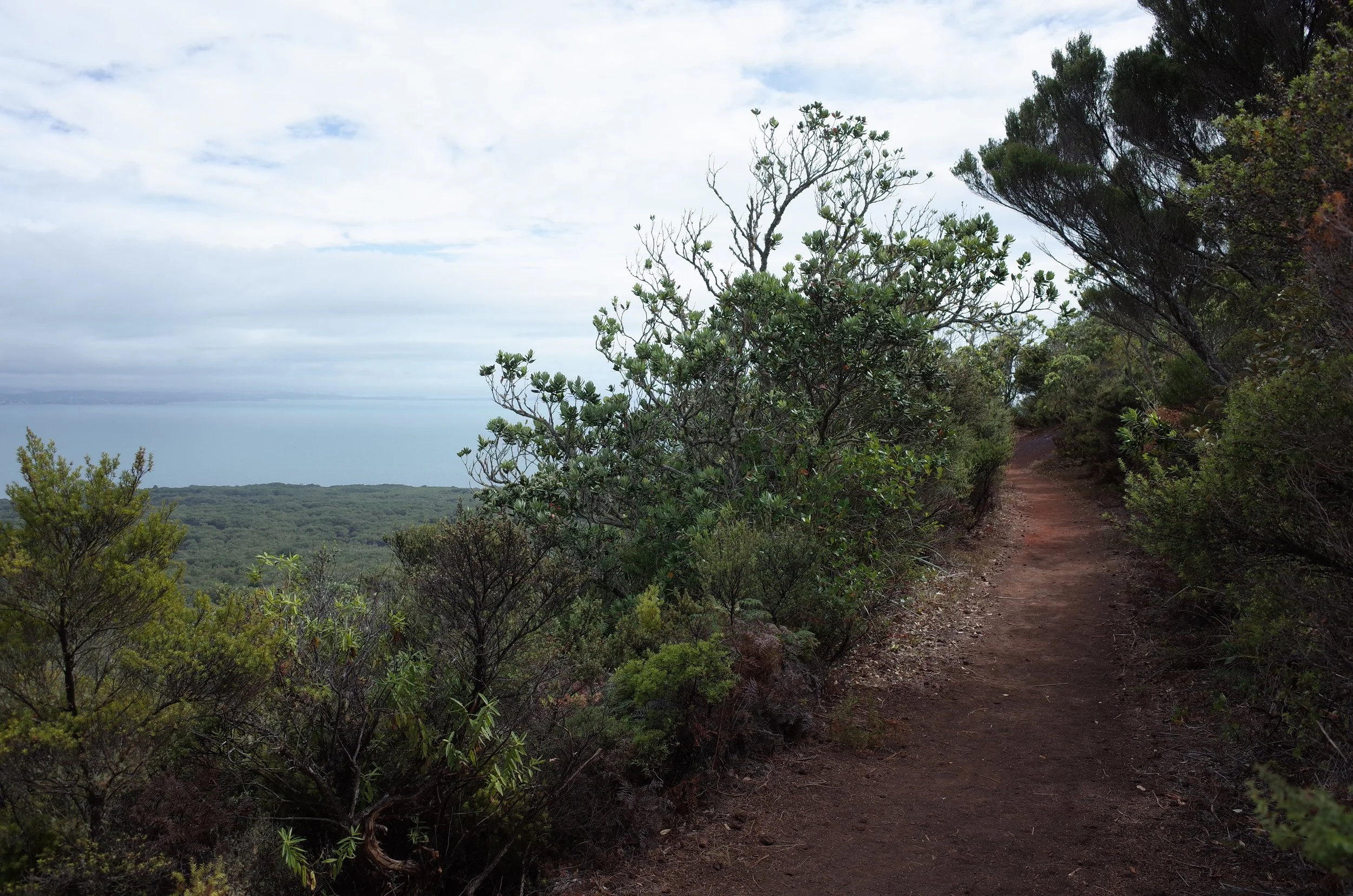 Near the crater rim.