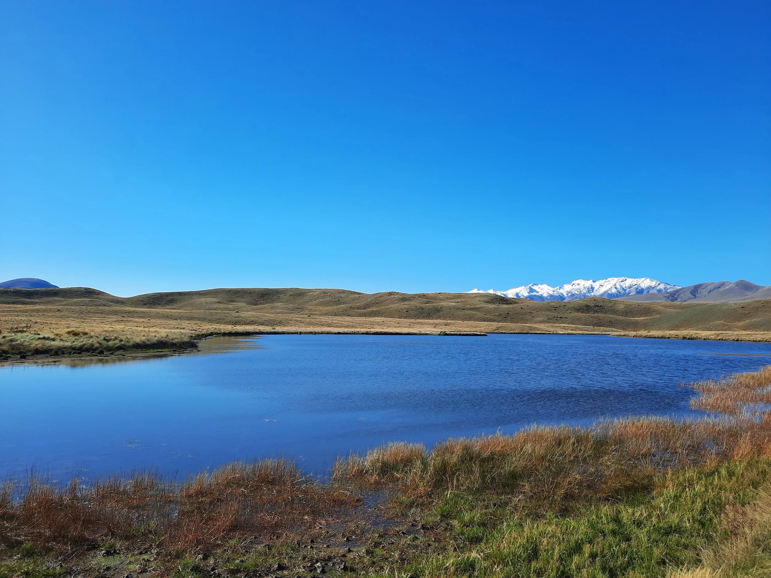 Small lake near Fagan Downs.