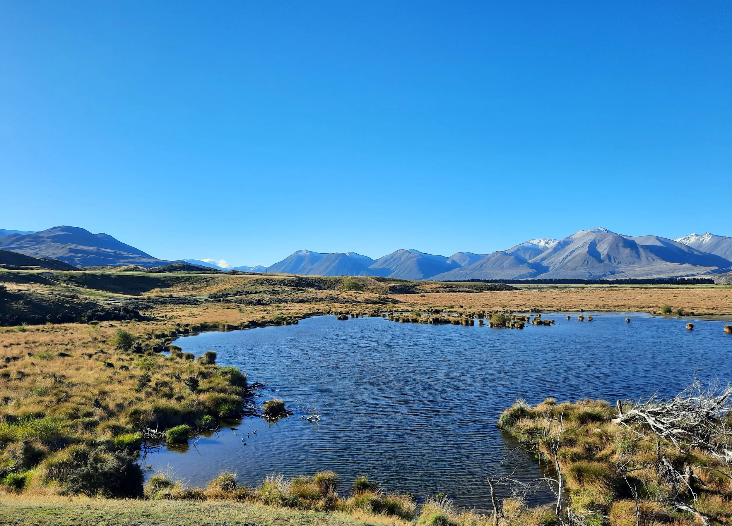 Lake Heron. Middle Hill L, Palmer Range R.