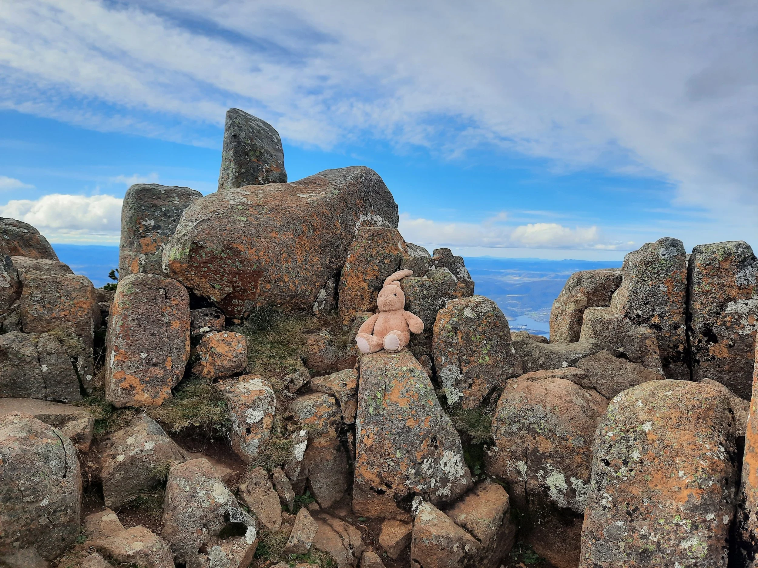 toy of the rock trolls?