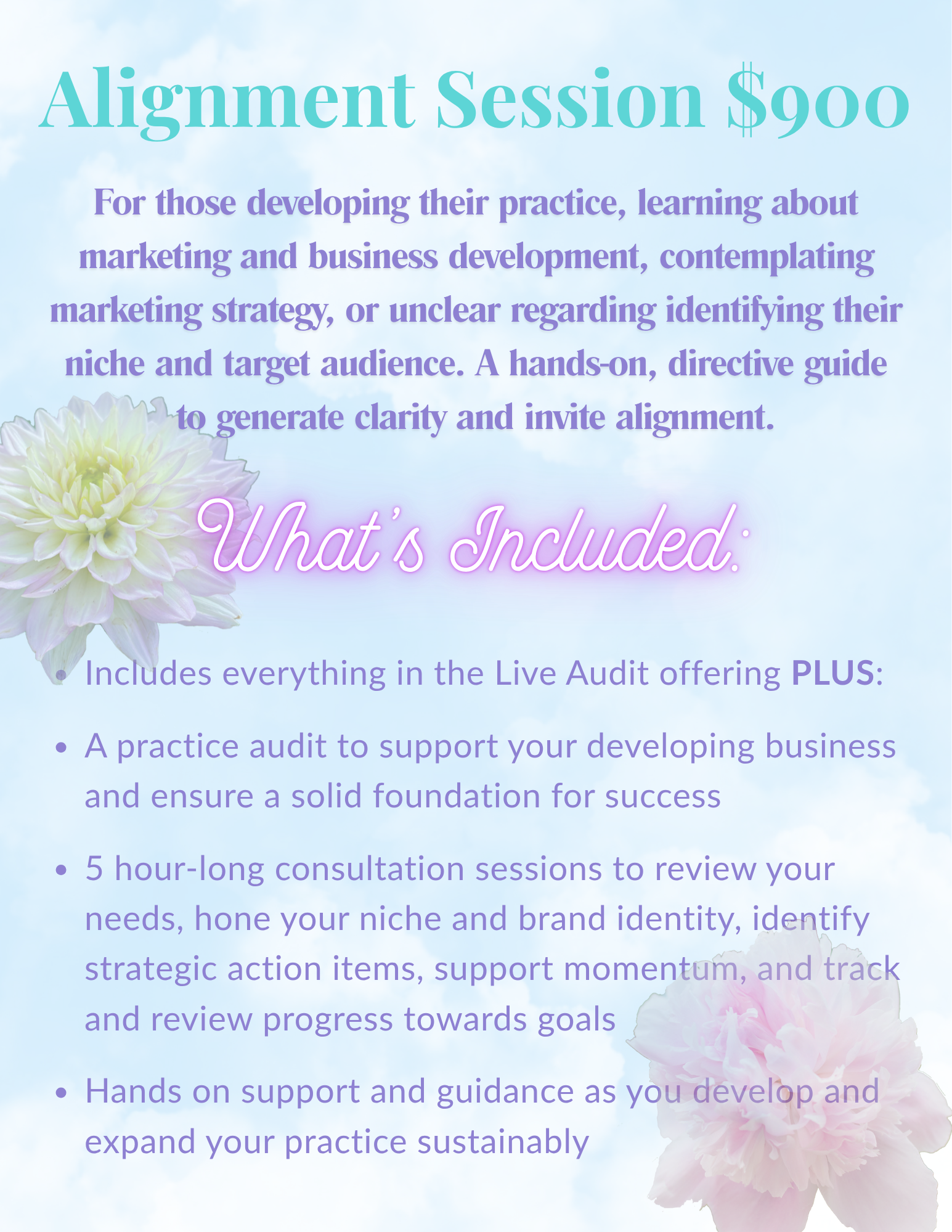 5 hour long consultations for those just getting started!