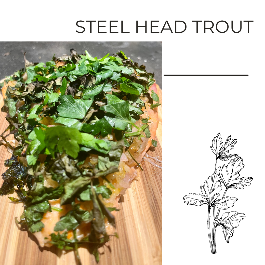 Steel Head trout .png