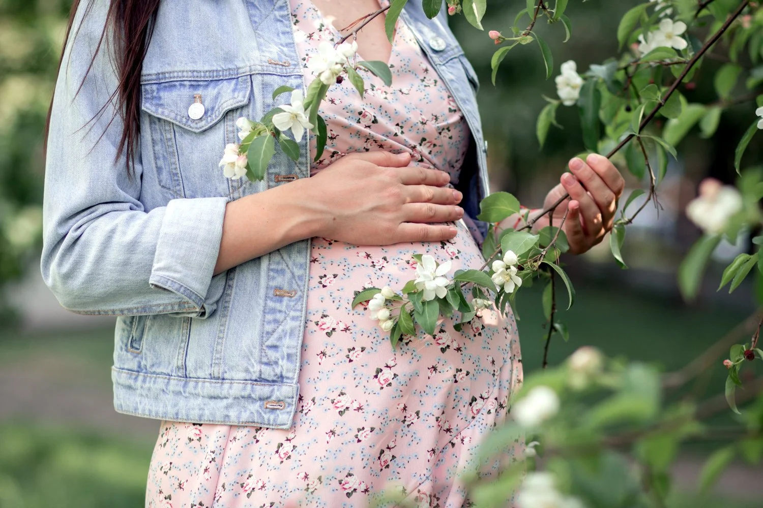 Pregnant Mom Standing Outdoors With One Hand Over Her Baby Bump and Holding a Tree Branch With Flowers in the Other Hand. She is Wearing a Pink Floral Maternity Dress and Short White-Wash Denim Jacket.