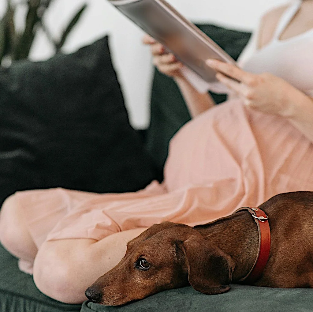 Pregnant Mom Sitting Reading Magazine With Dog Beside Her.jpg