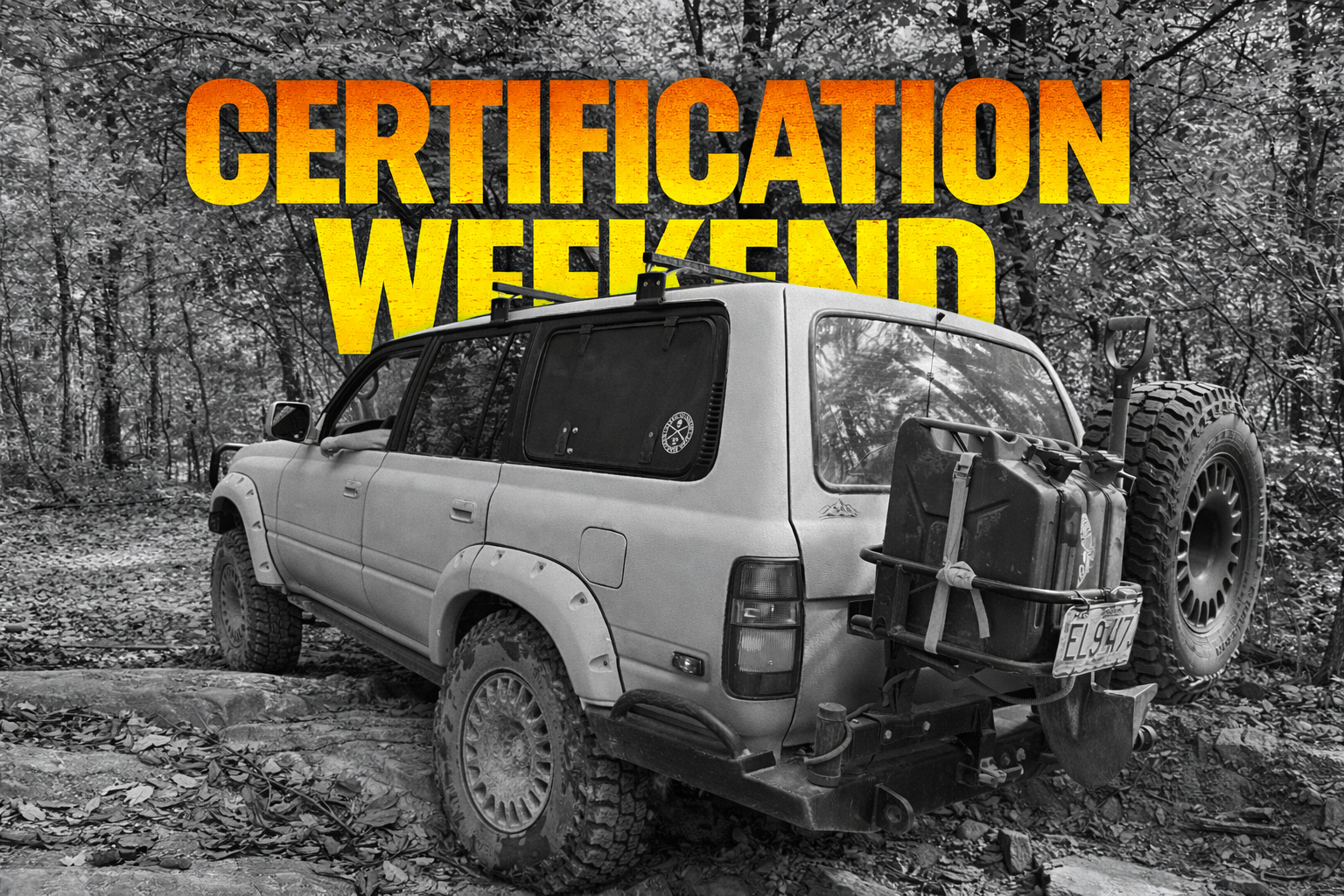 ChatGPT Image Jan 1, 2026, 01_02_39 PM.png