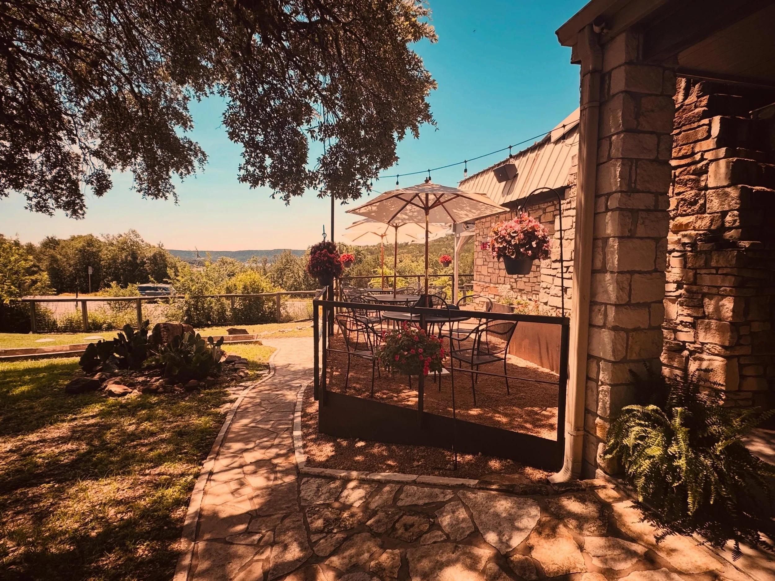 it&rsquo;s a beautiful day full of sunshine, local goodies, good food, and exception wine. 
come slow down with us @alba.jonestown.tx 

Pop Up 12-4pm ✨🦂🍷
